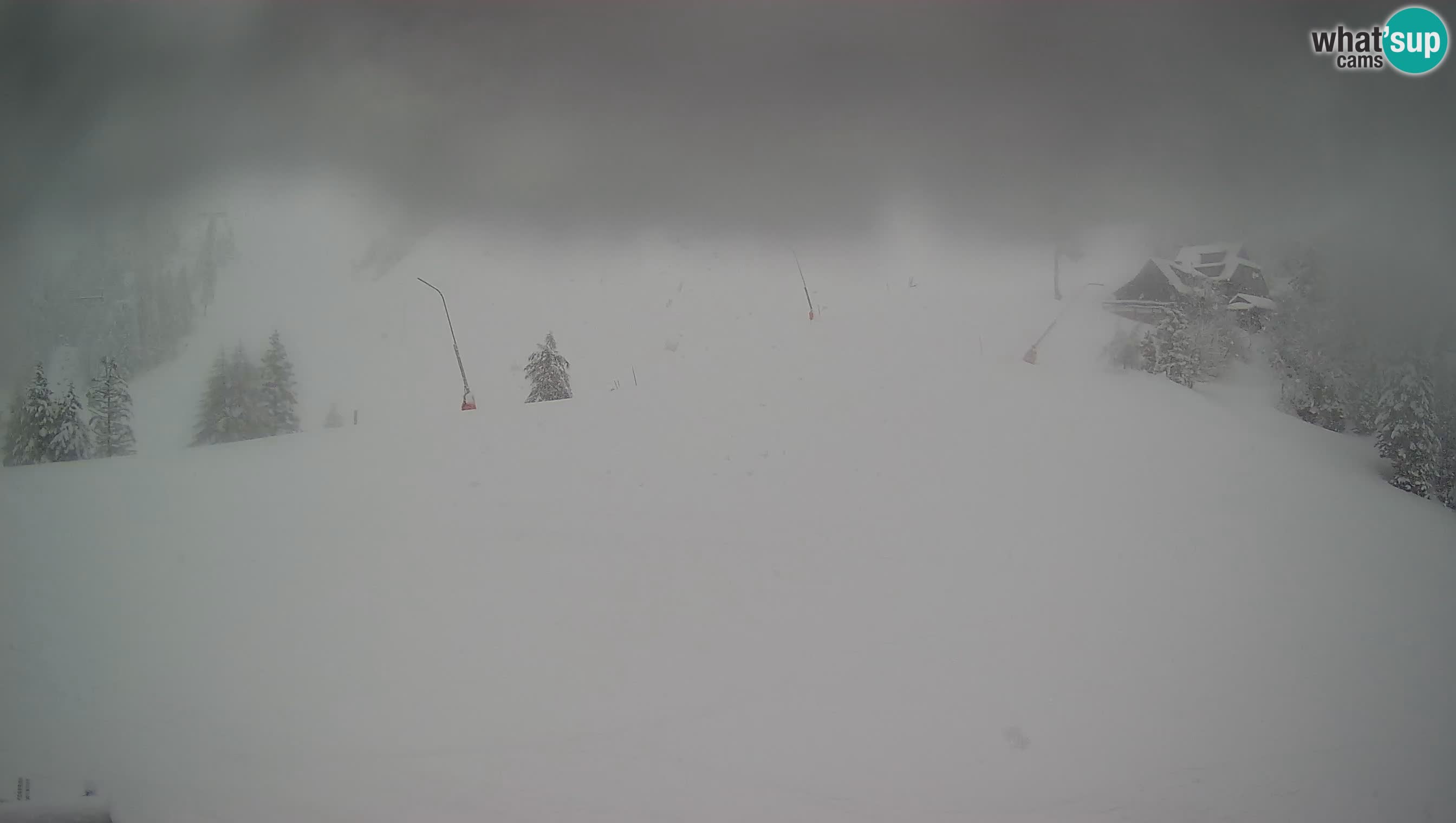 Krvavec webcam motorisiert – Skigebiet