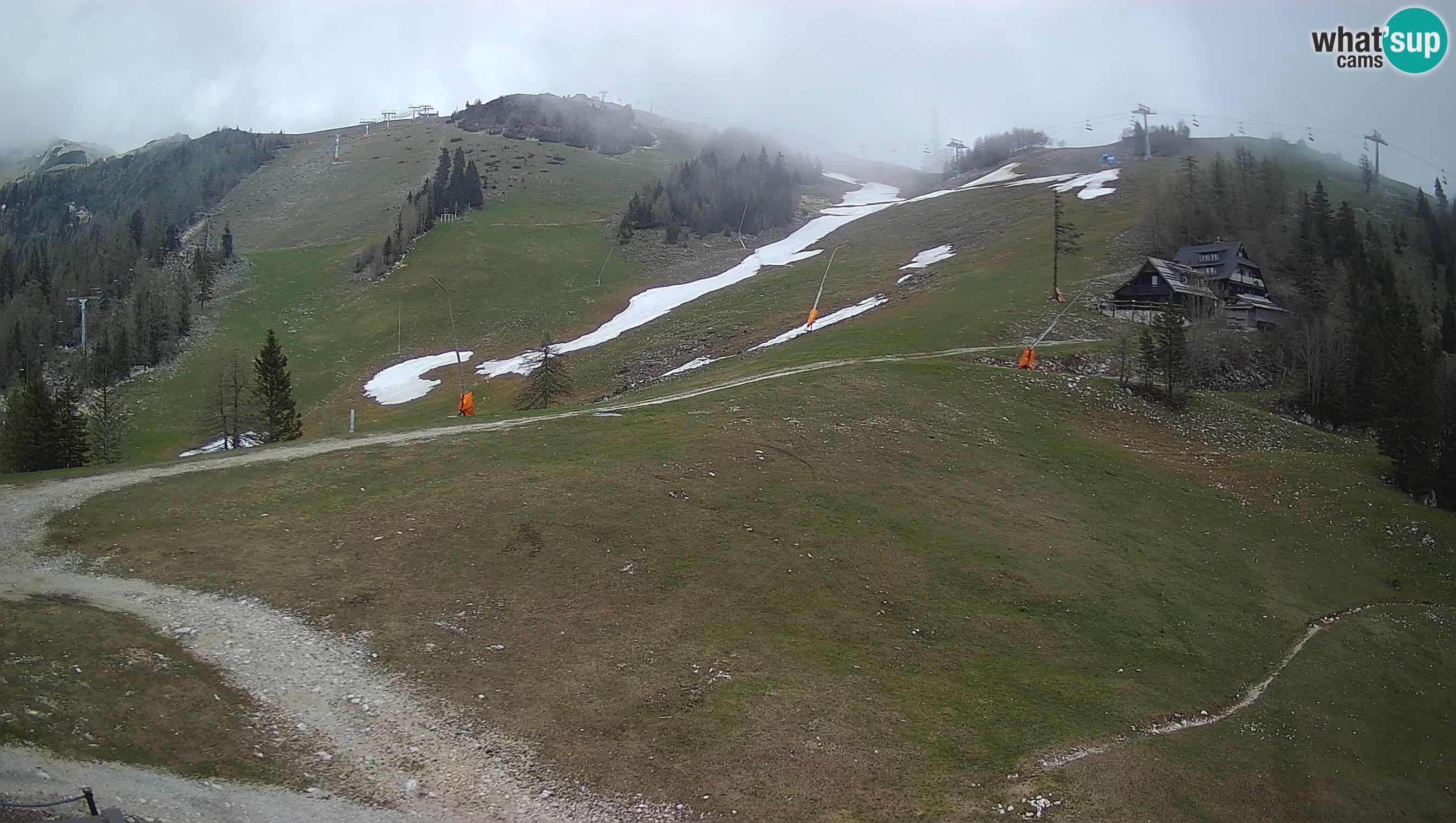 Livecam Krvavec