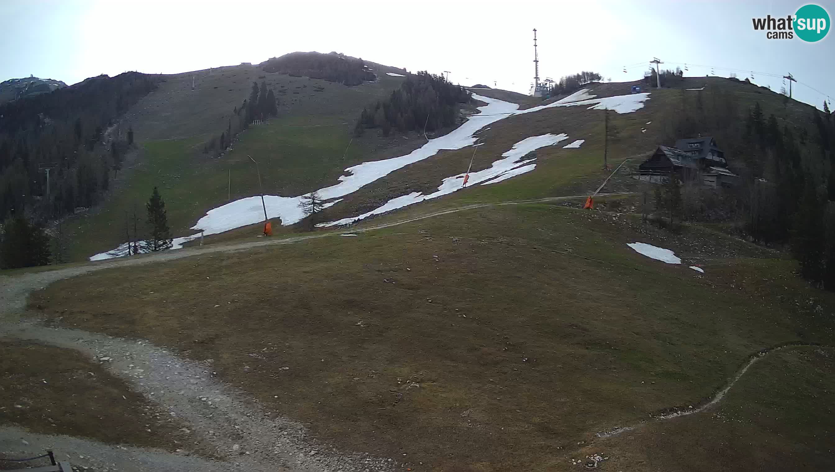 Livecam Krvavec