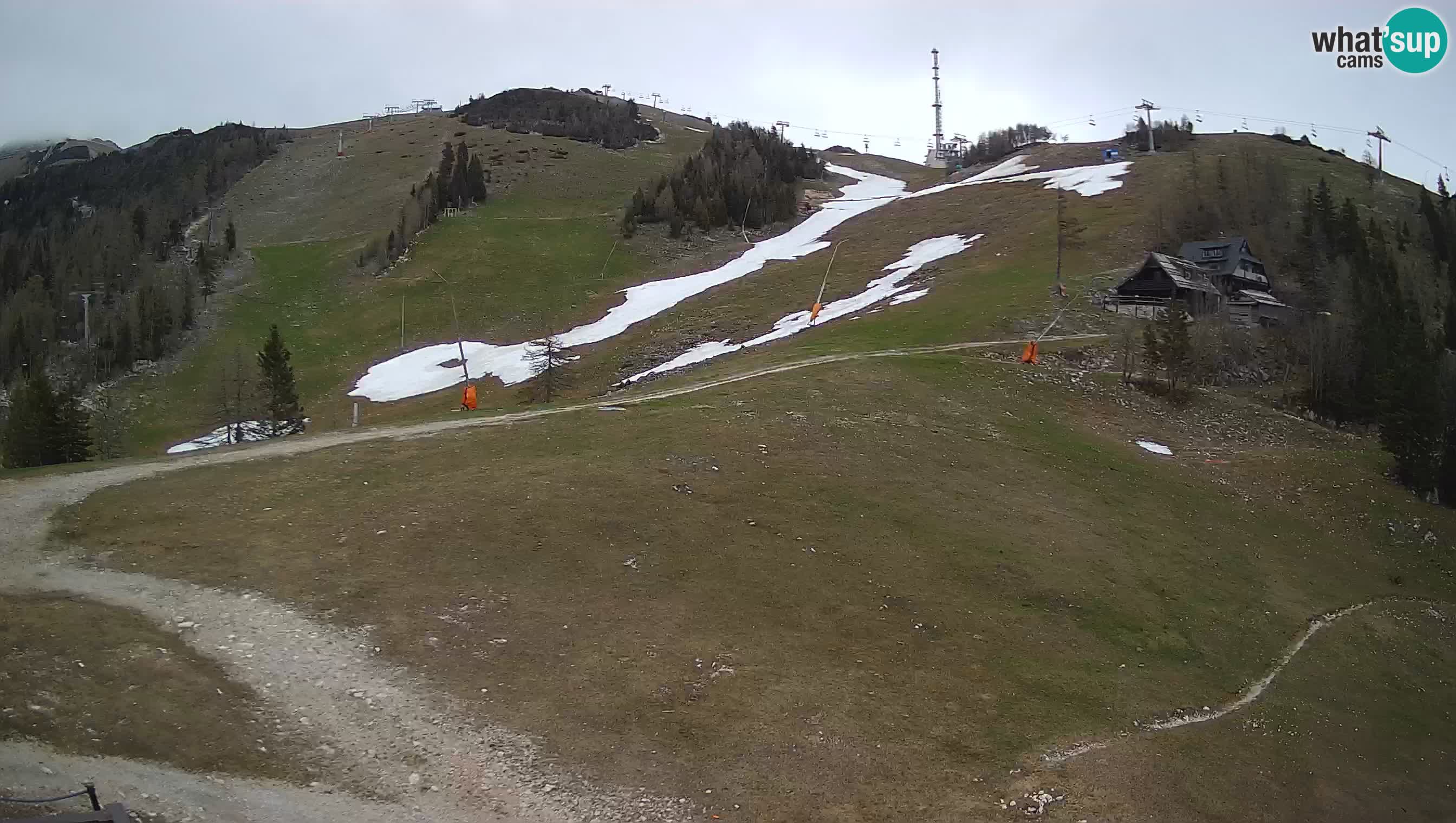 Livecam Krvavec