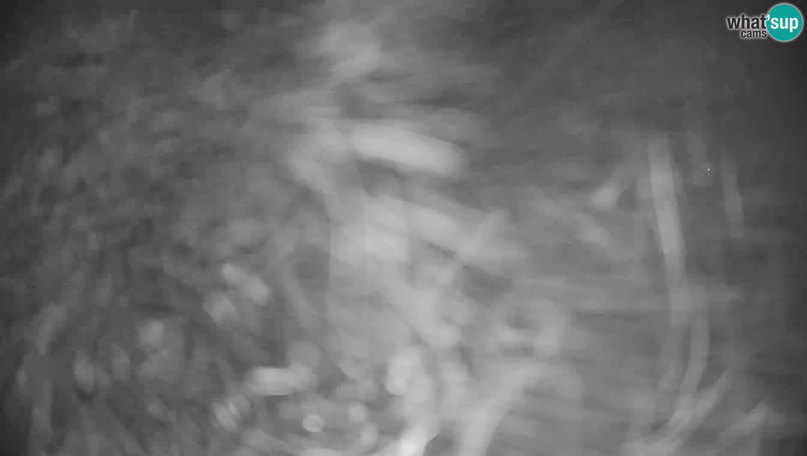 Krvavec Webcam Motorized – Ski resort
