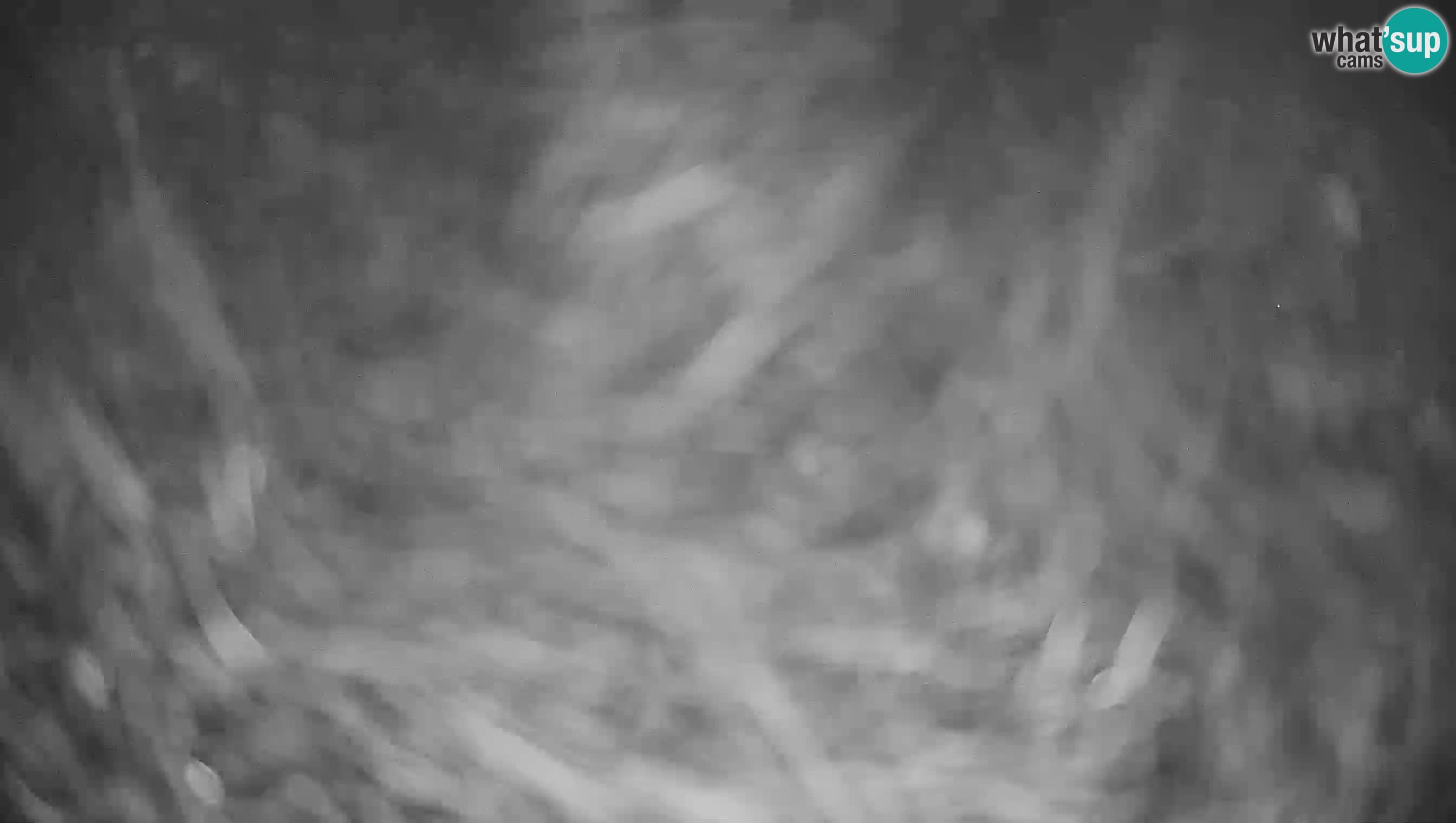 Webcam Krvavec – Hotel Krvavec