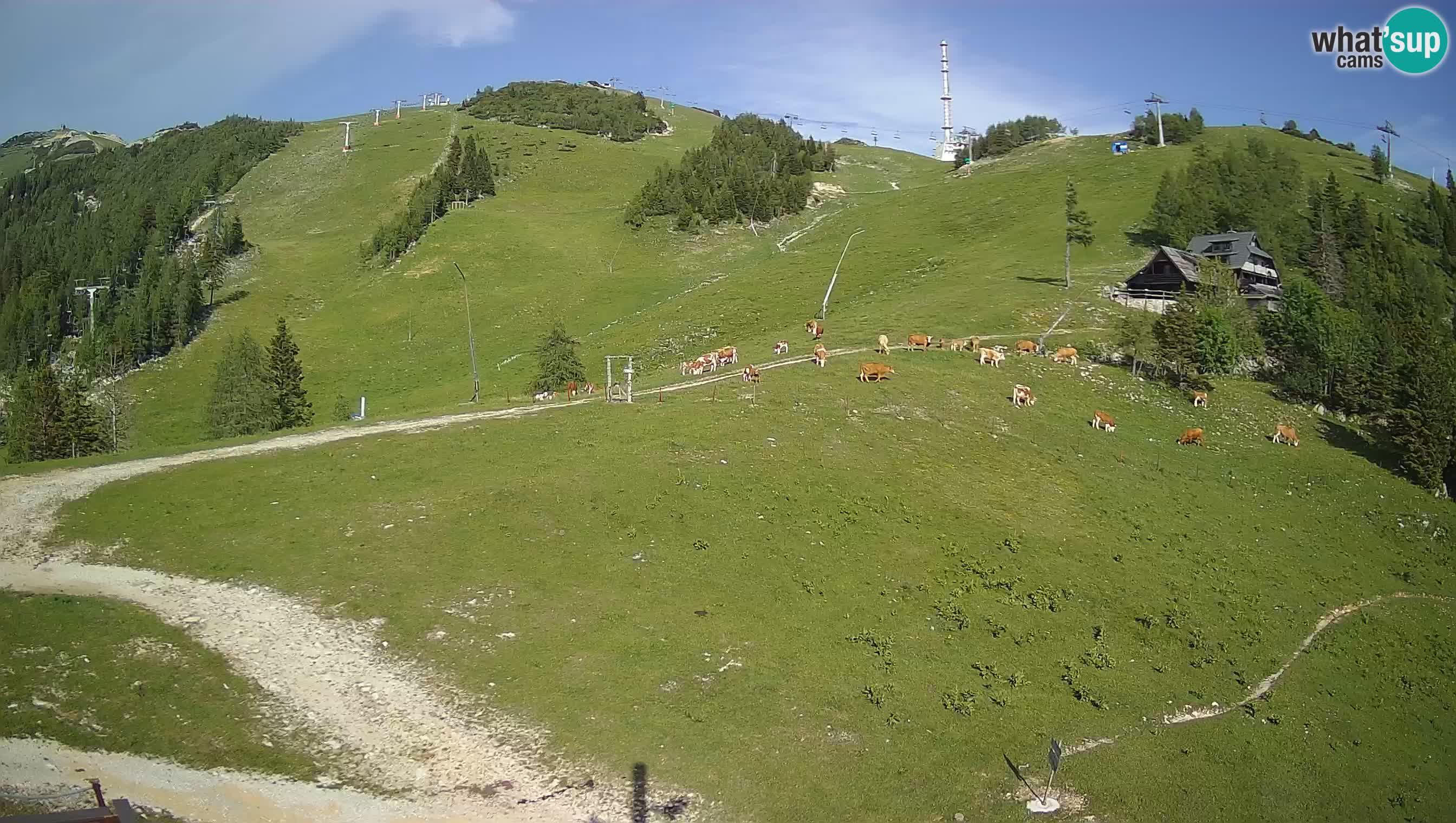 Krvavec Webcam Motorized – Ski resort