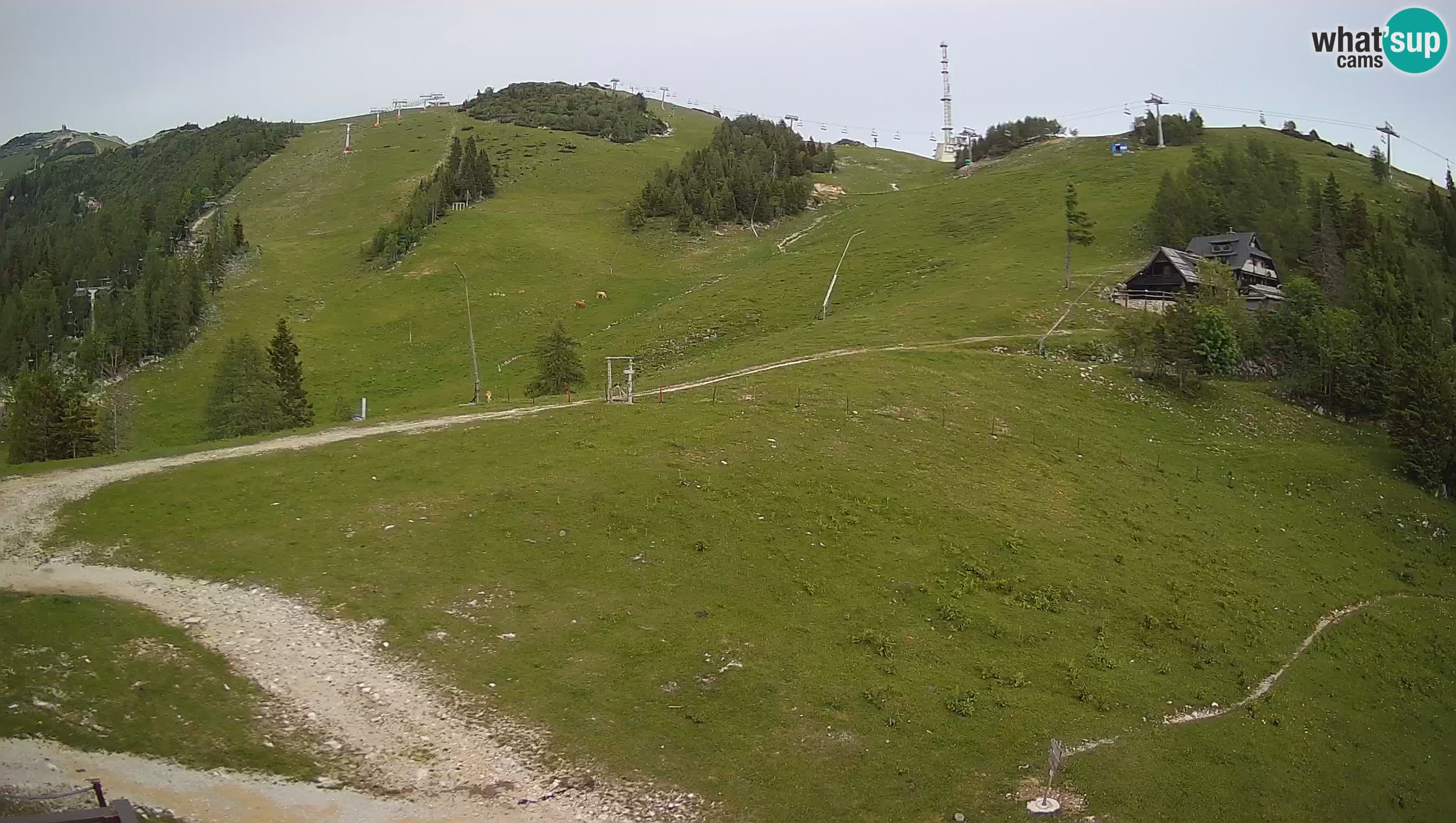 Krvavec Webcam Motorized – Ski resort