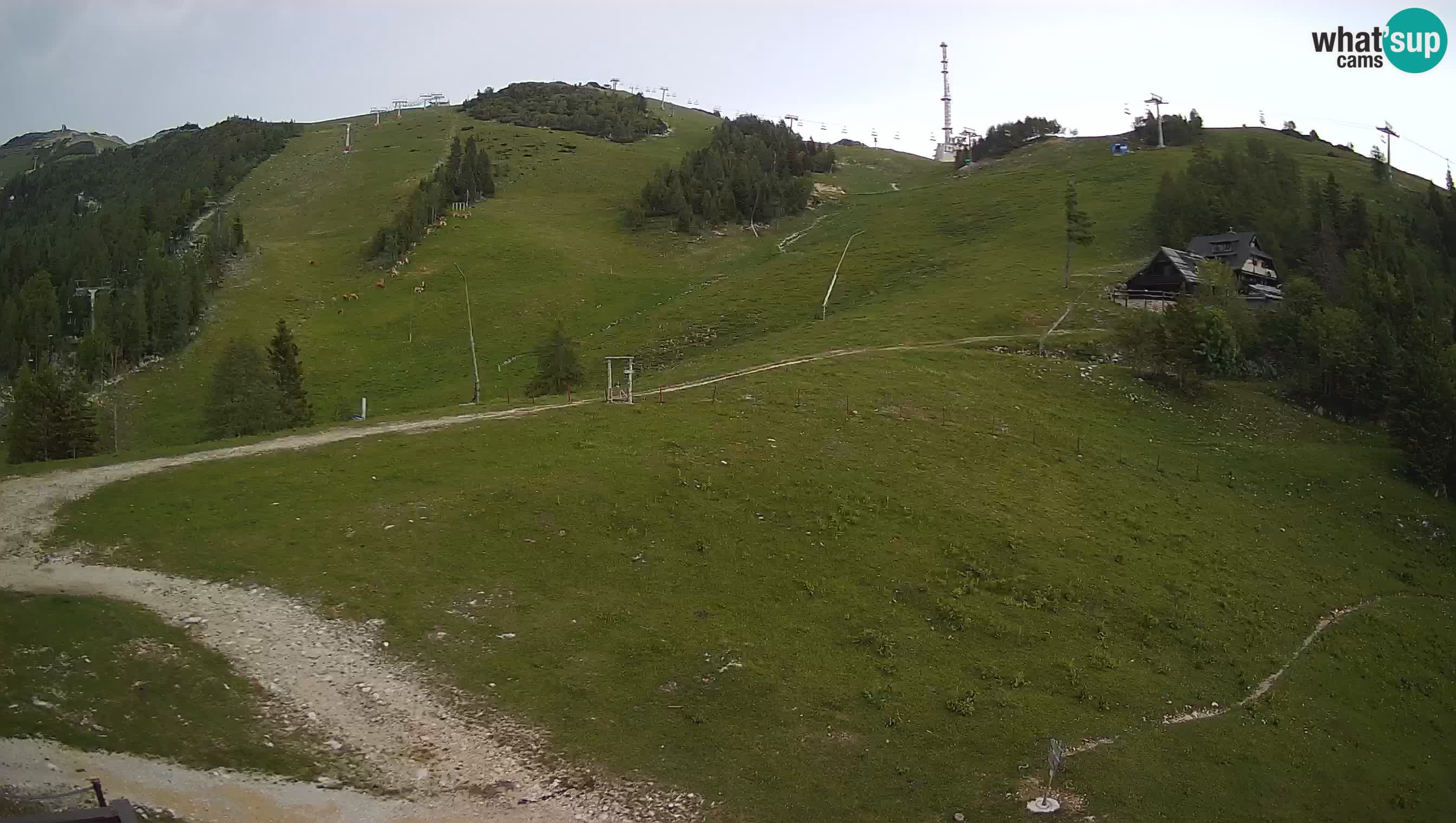 Krvavec Webcam Motorized – Ski resort