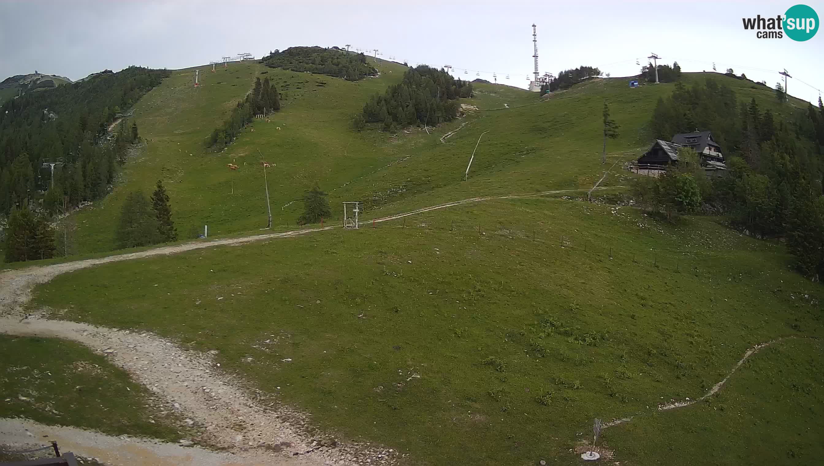 Krvavec Webcam Motorized – Ski resort