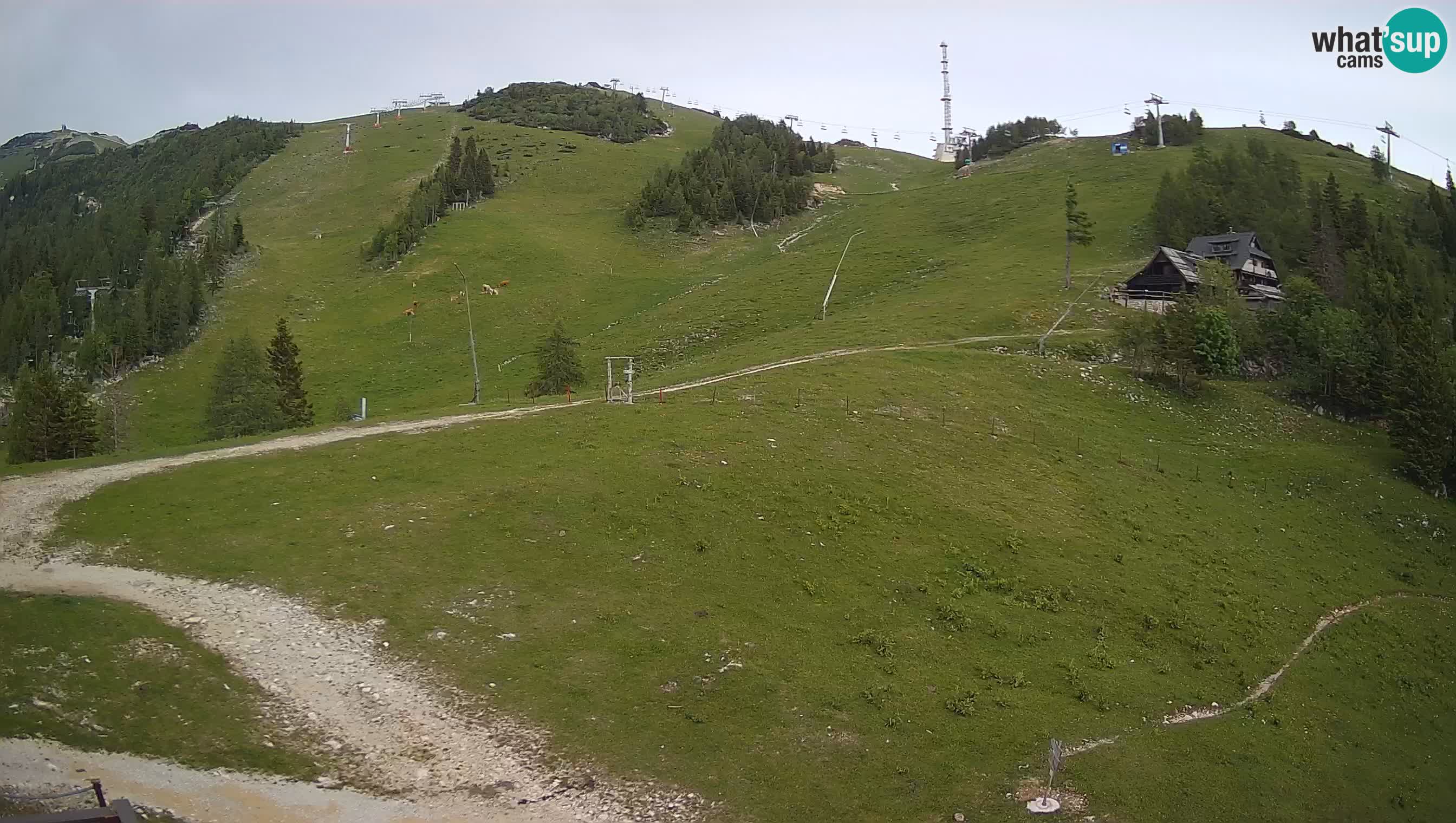 Webcam Krvavec – Hotel Krvavec