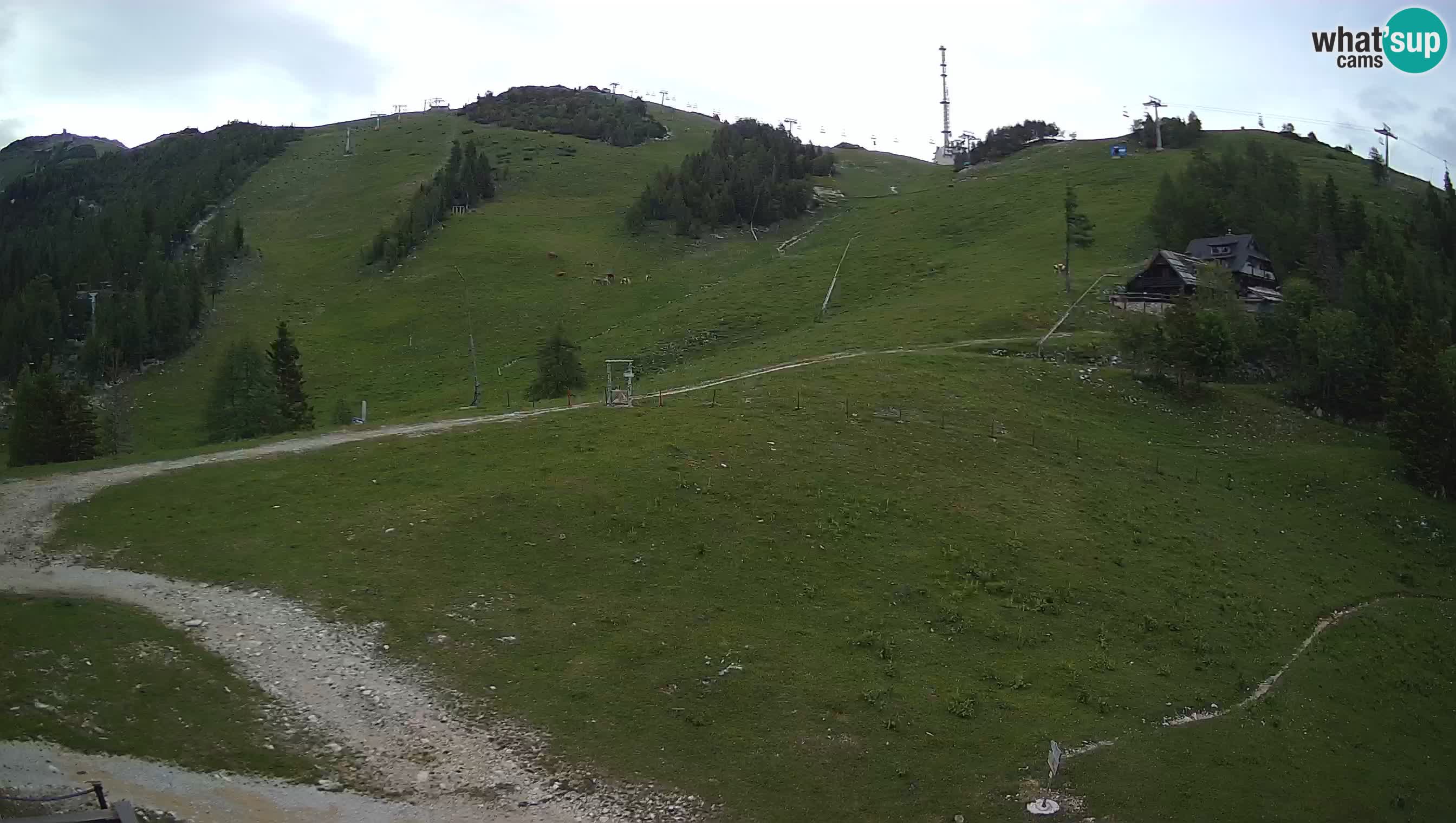 Livecam Krvavec