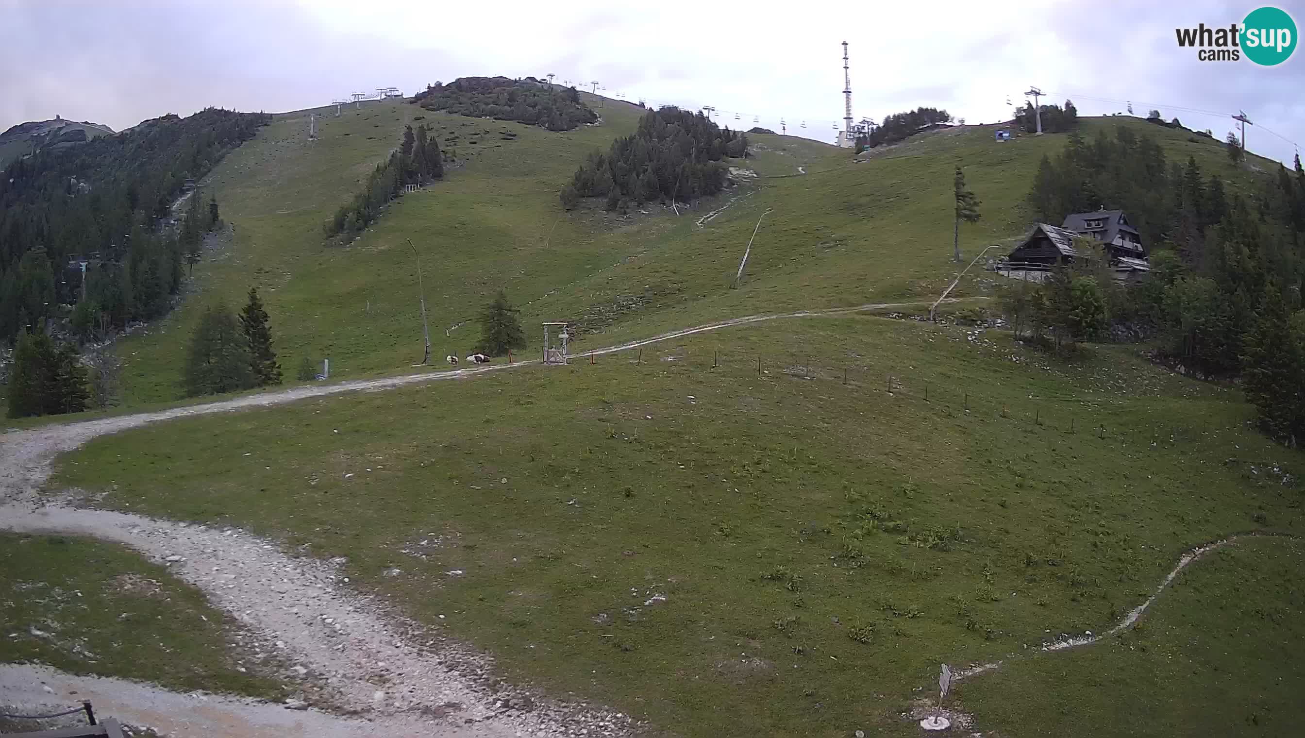 Webcam Krvavec – Hotel Krvavec