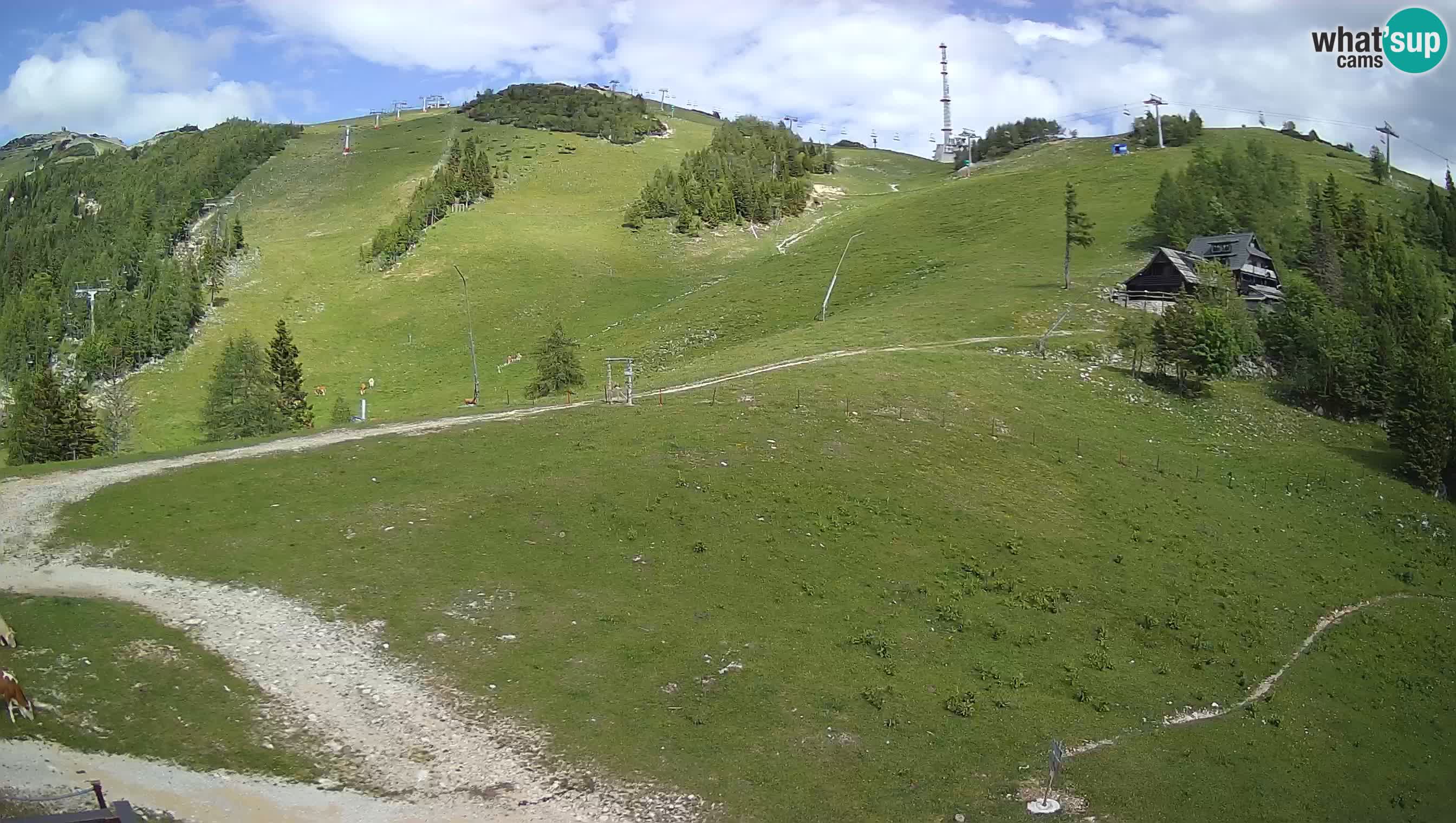 Krvavec webcam motorizzata – Stazione Sciistica