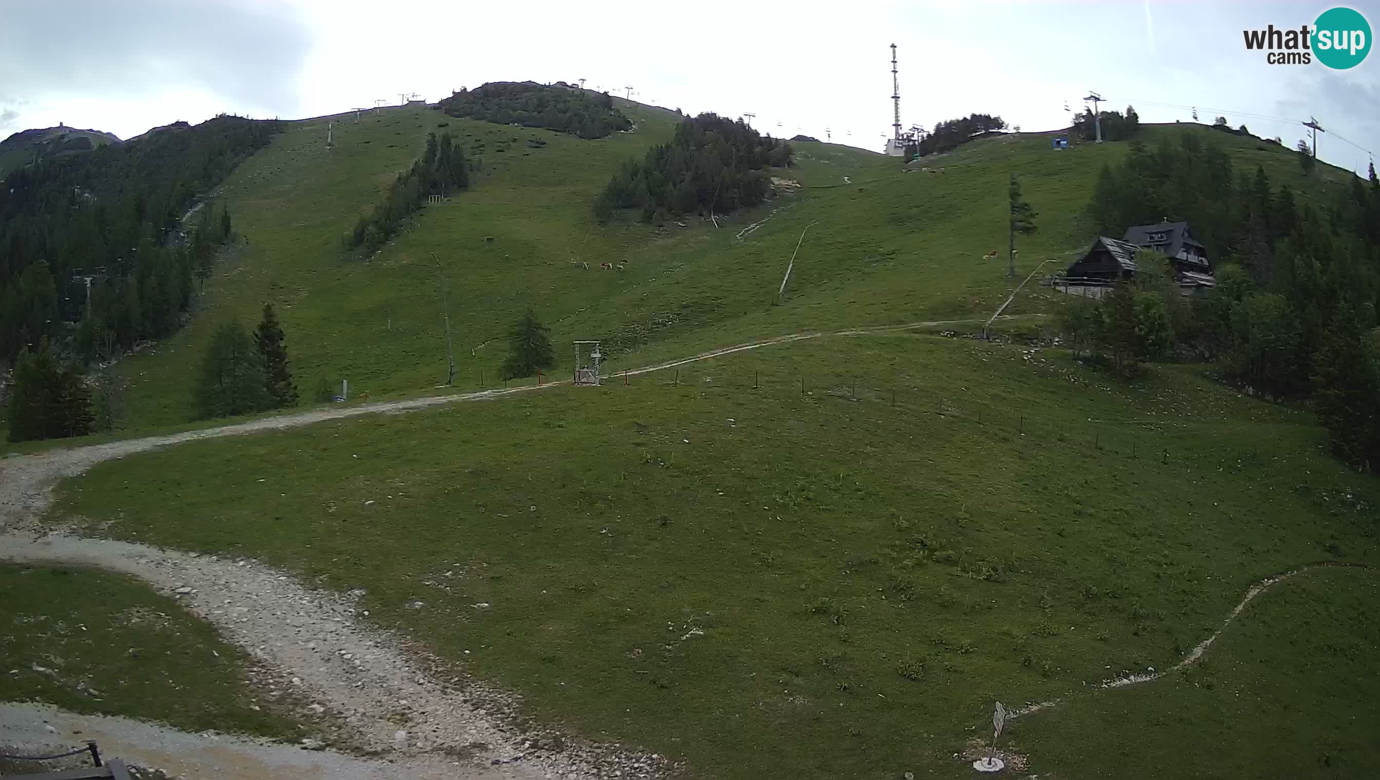 Krvavec web kamera – pokretna