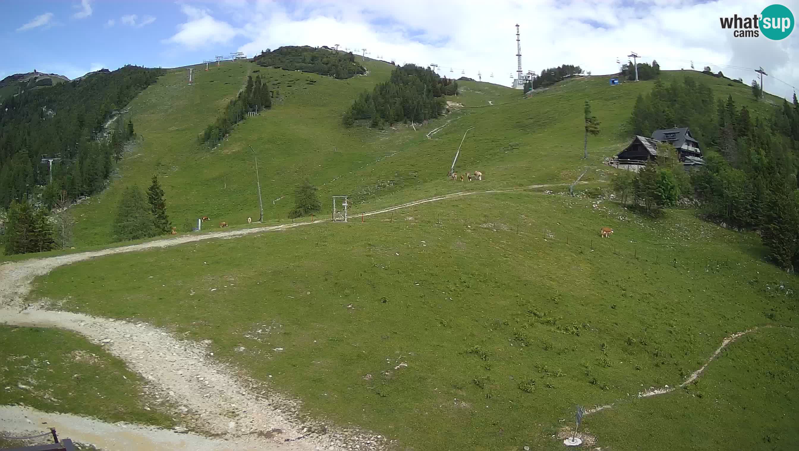 Webcam Krvavec – Hotel Krvavec