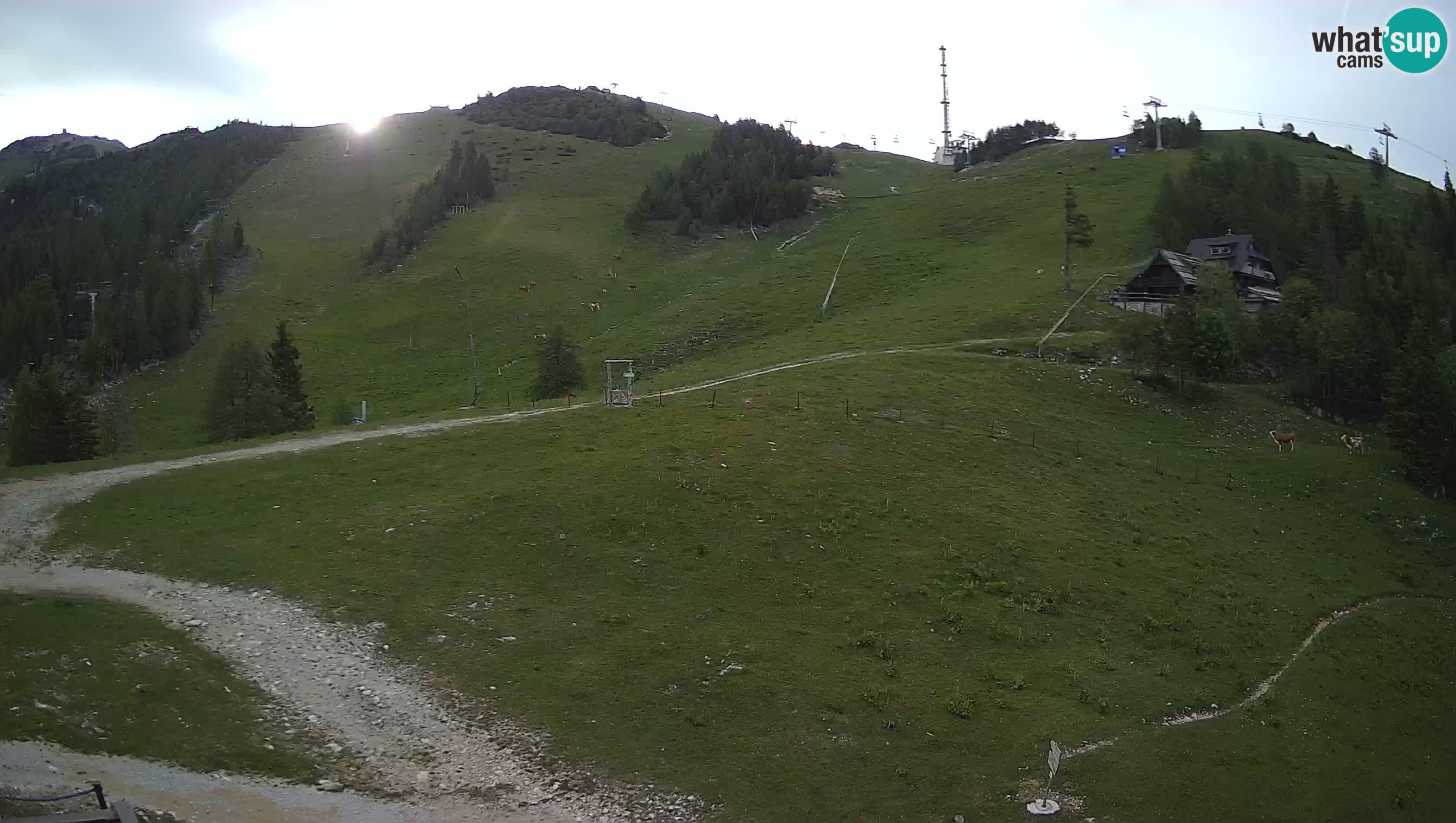 Krvavec camera en vivo – Ski resort