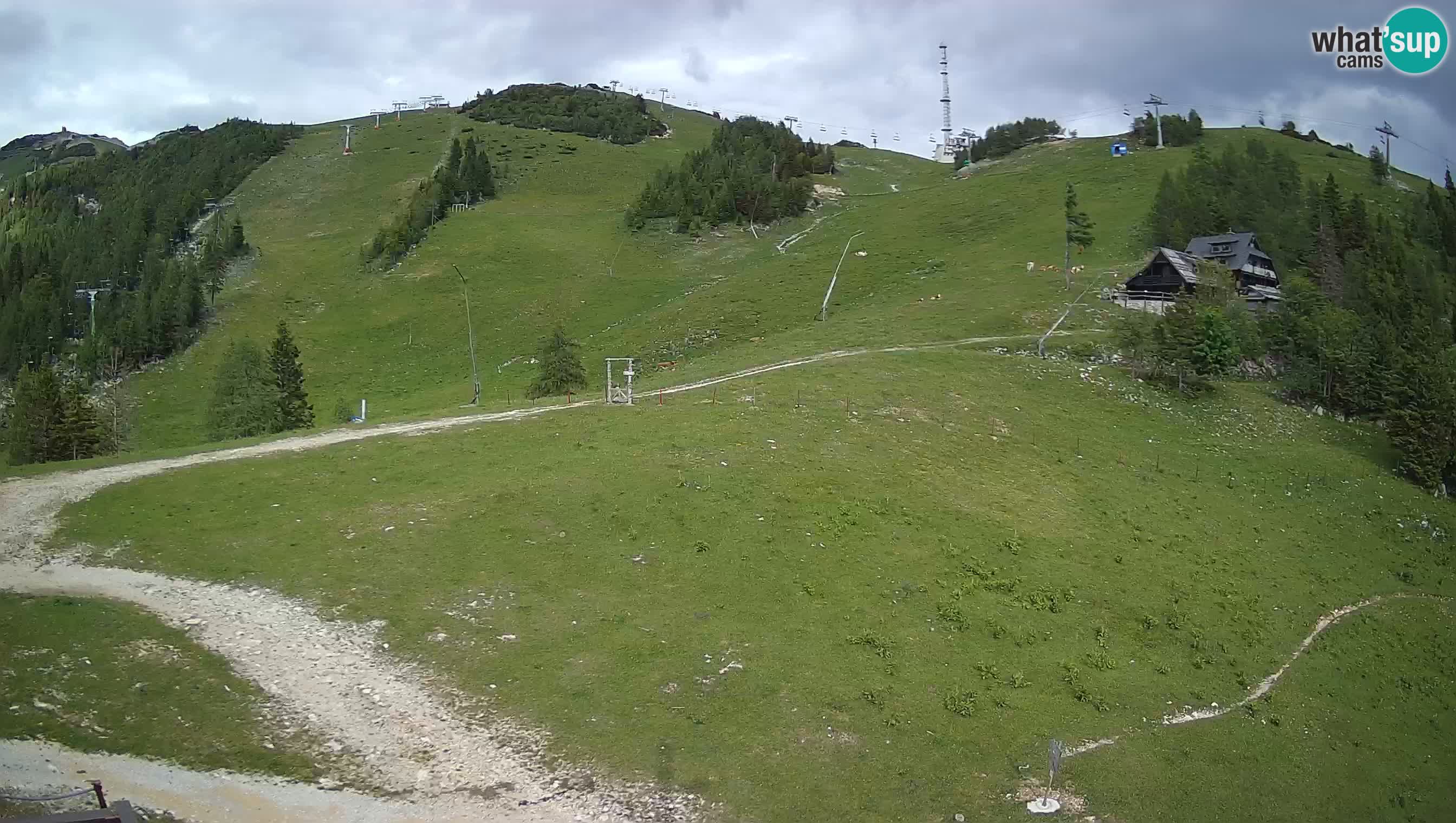 Krvavec webcam motorisiert – Skigebiet