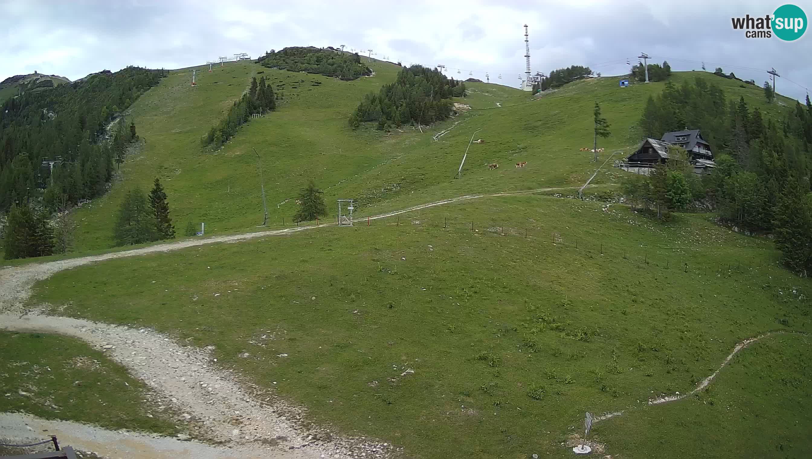 Krvavec Webcam Motorized – Ski resort