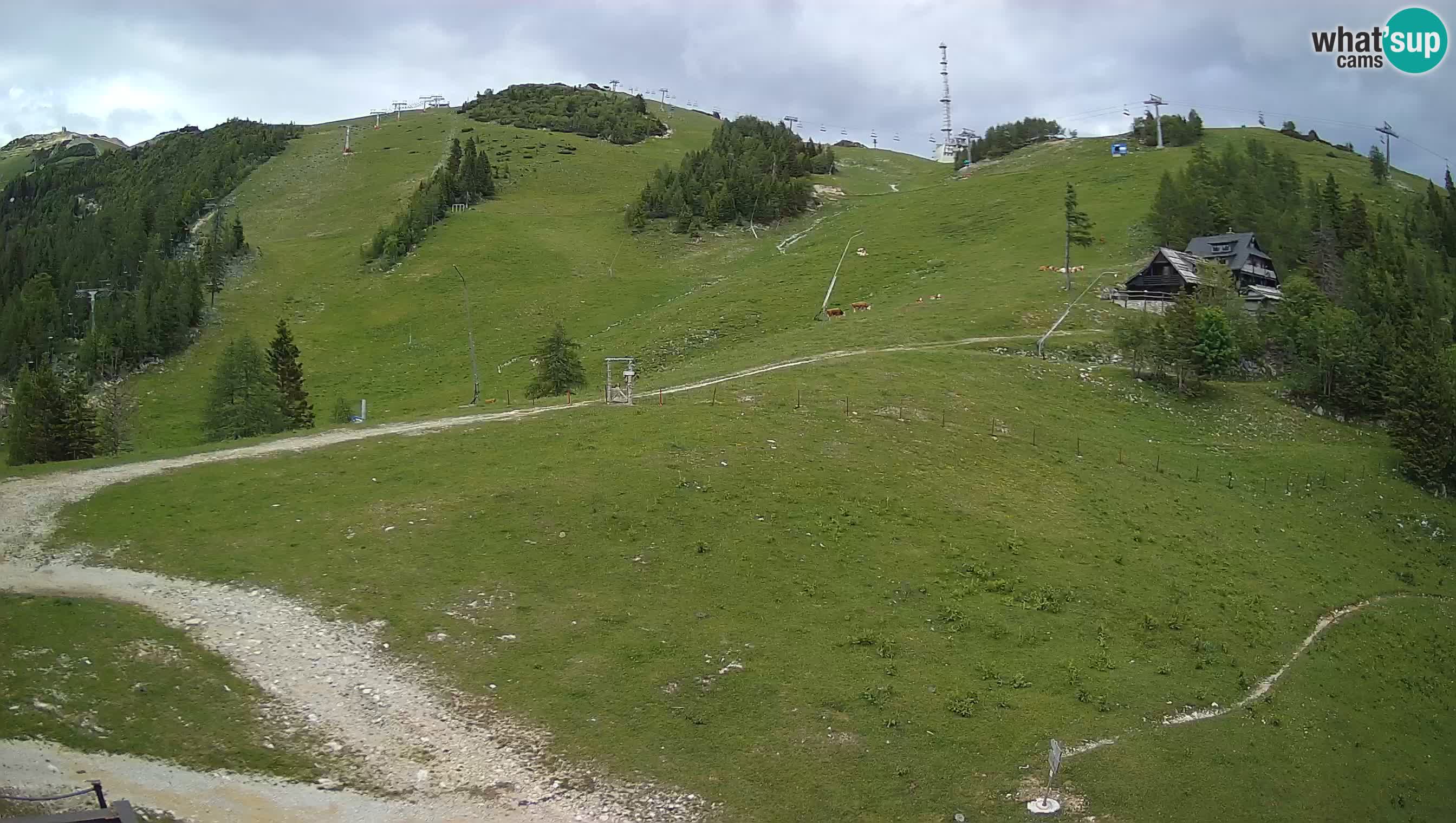 Krvavec webcam motorisiert – Skigebiet
