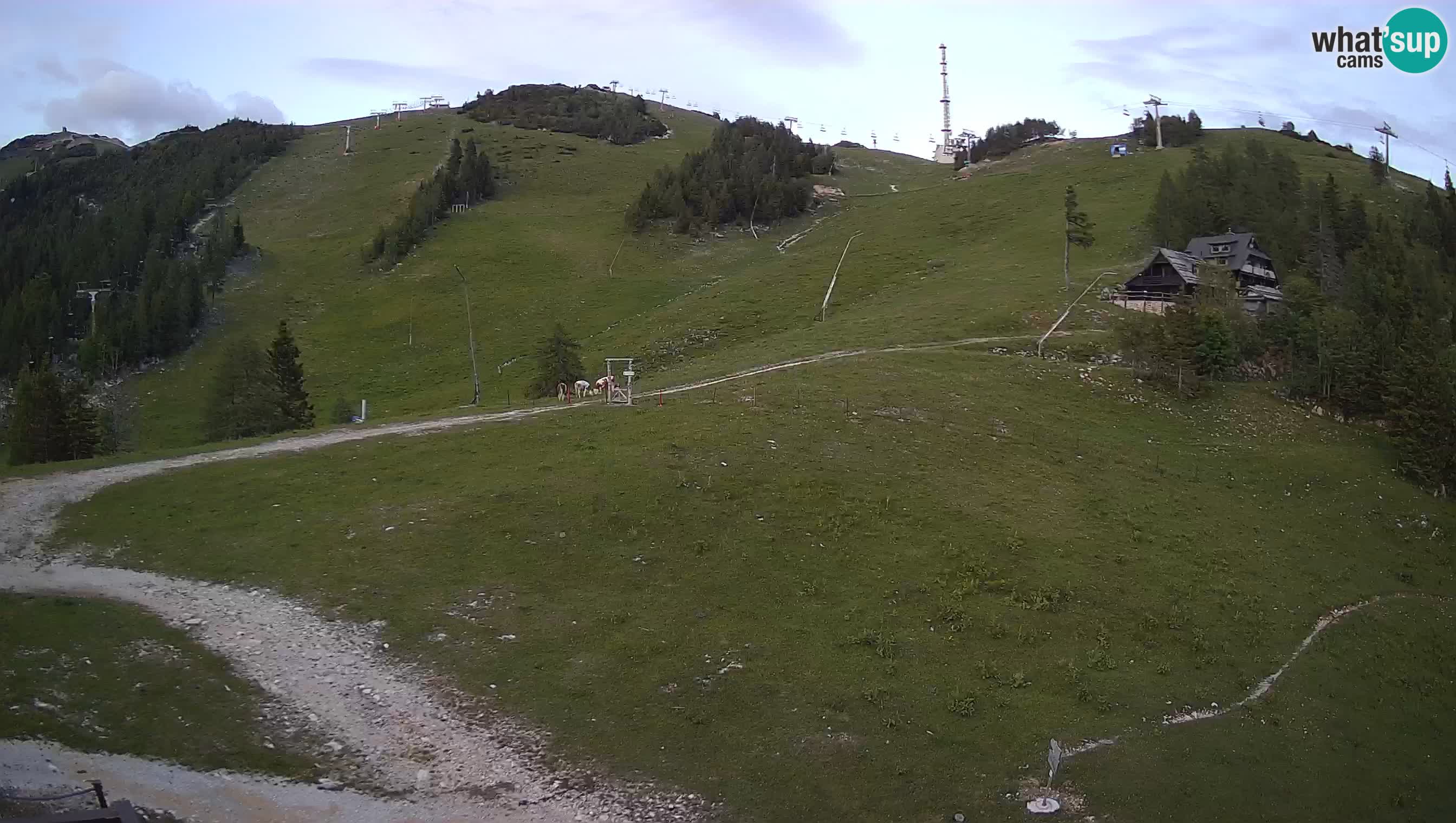 Krvavec Webcam Motorized – Ski resort