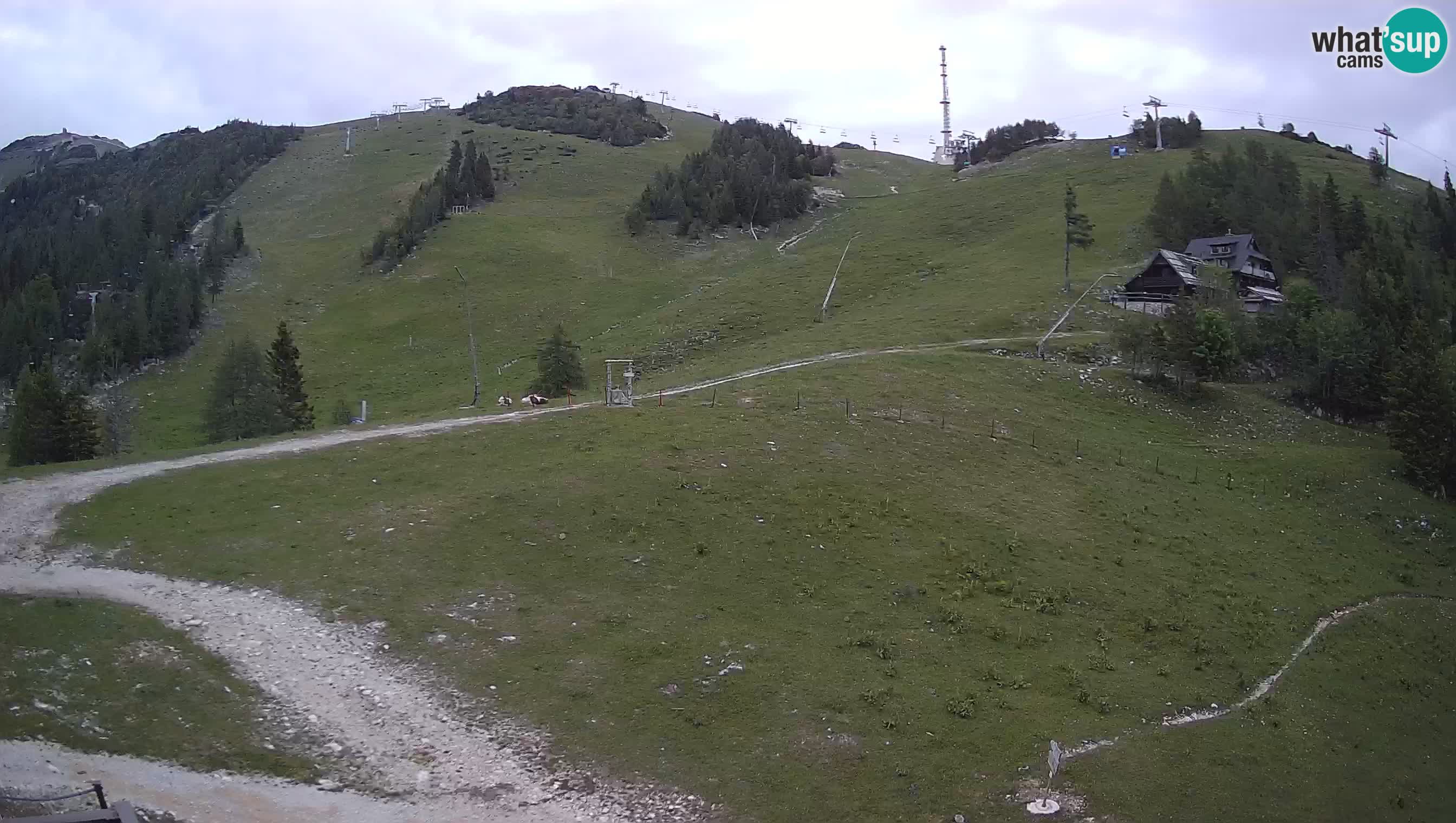Webcam Krvavec – Hotel Krvavec