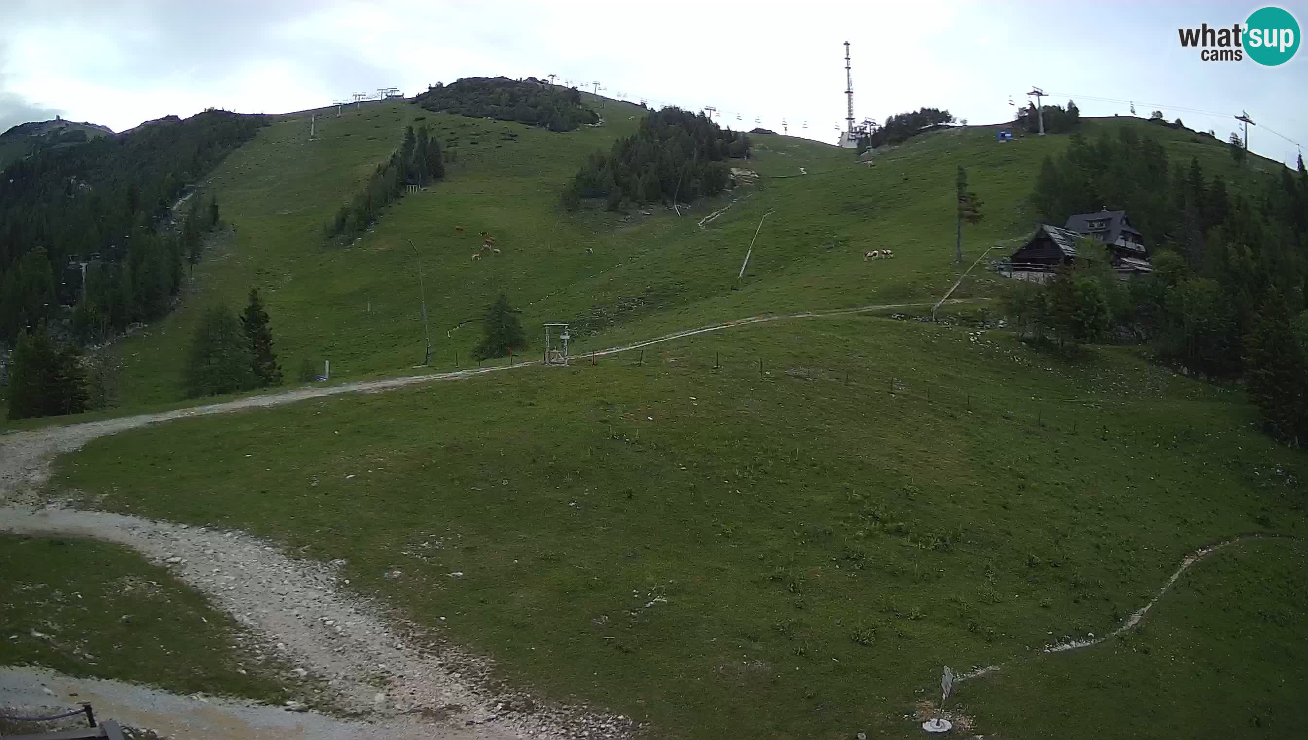 KRVAVEC spletna kamera | Hotel Krvavec – Tiha dolina