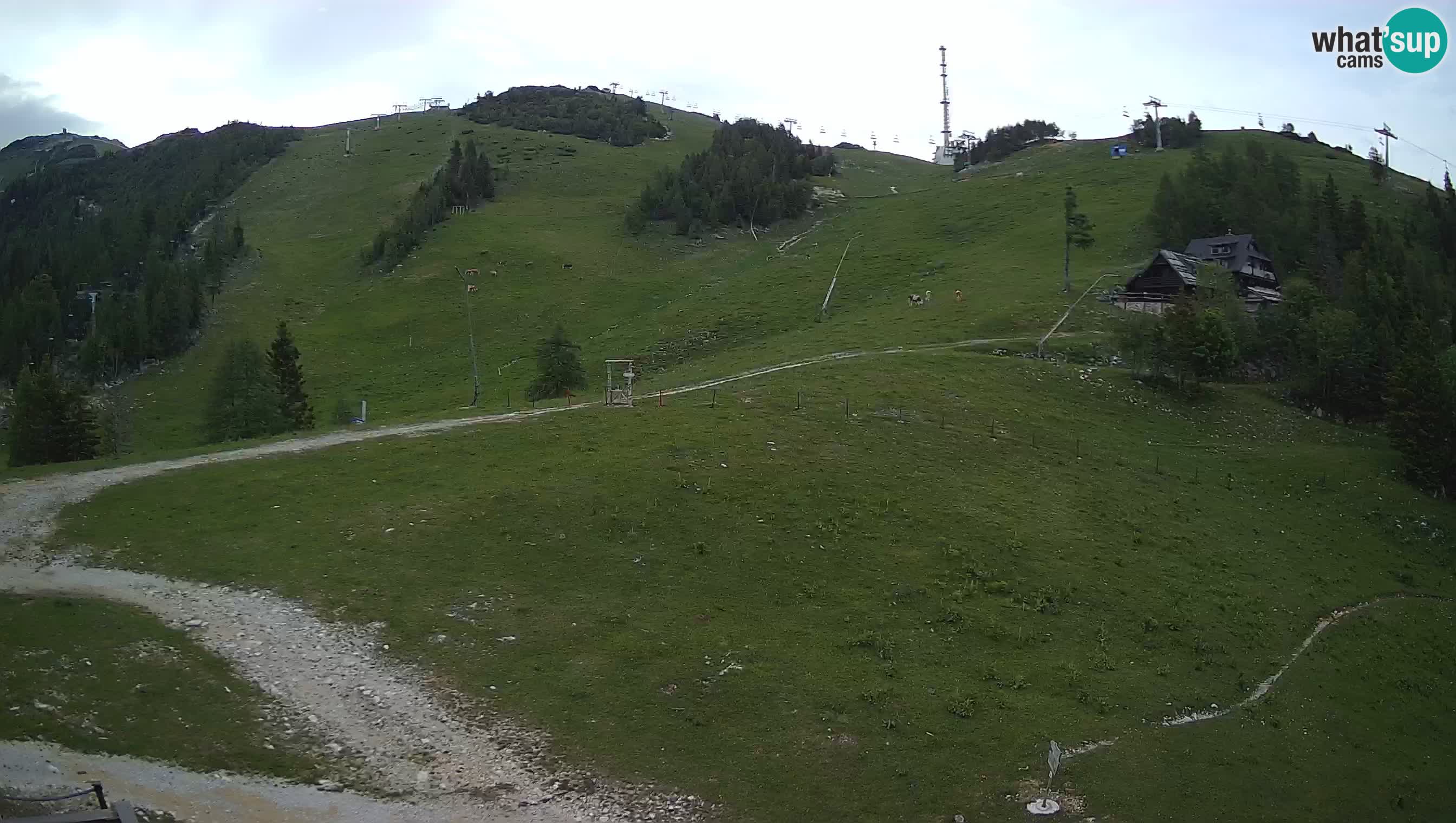 Livecam Krvavec