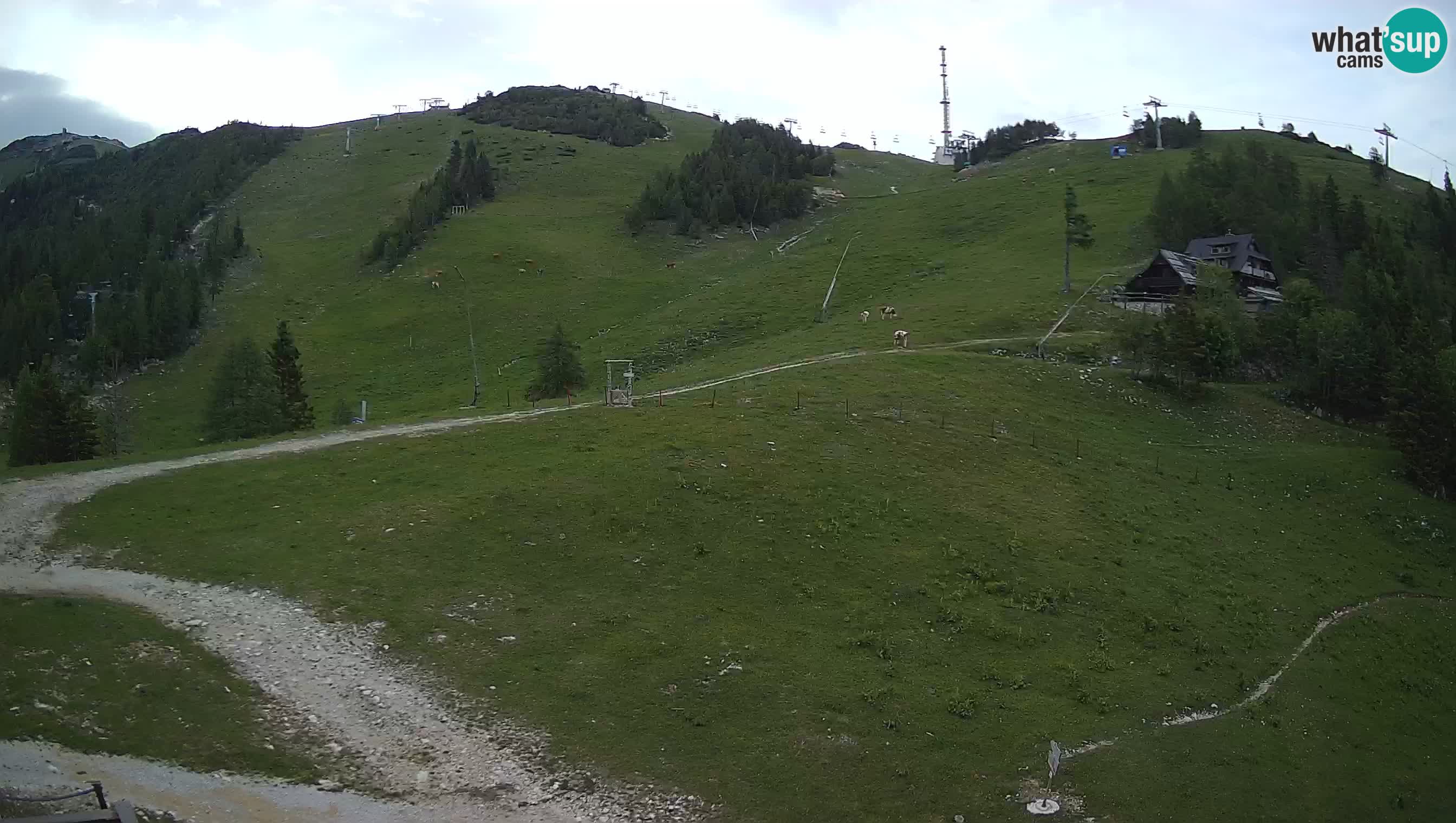 Webcam Krvavec – Hotel Krvavec
