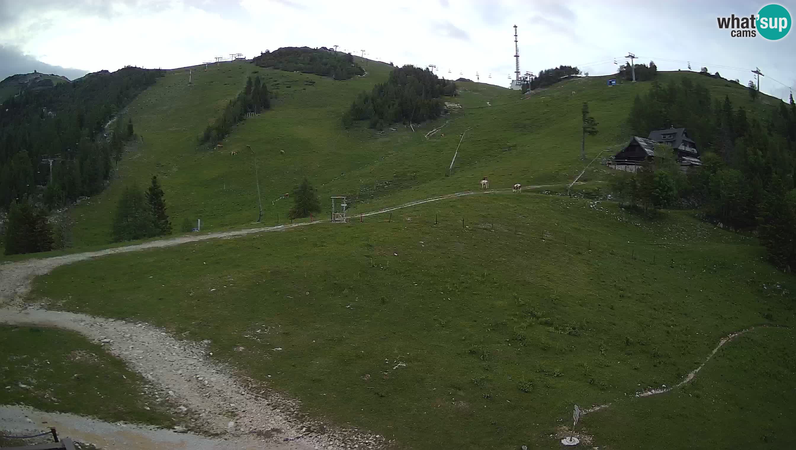 Krvavec Webcam Motorized – Ski resort