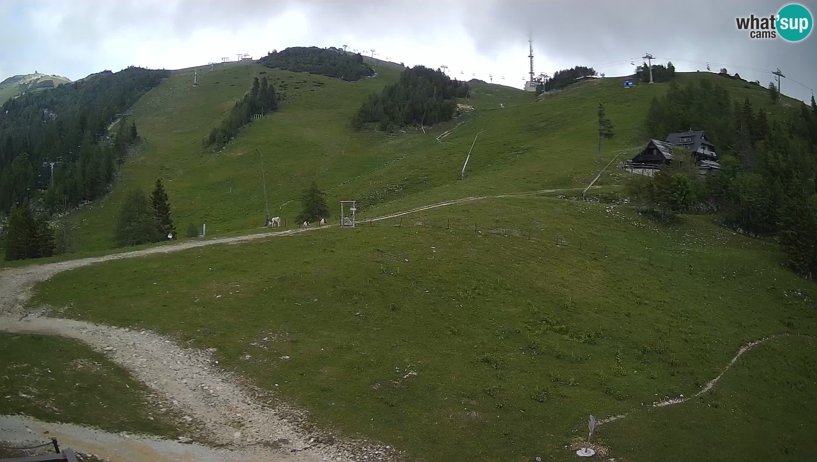 Krvavec Webcam Motorized – Ski resort