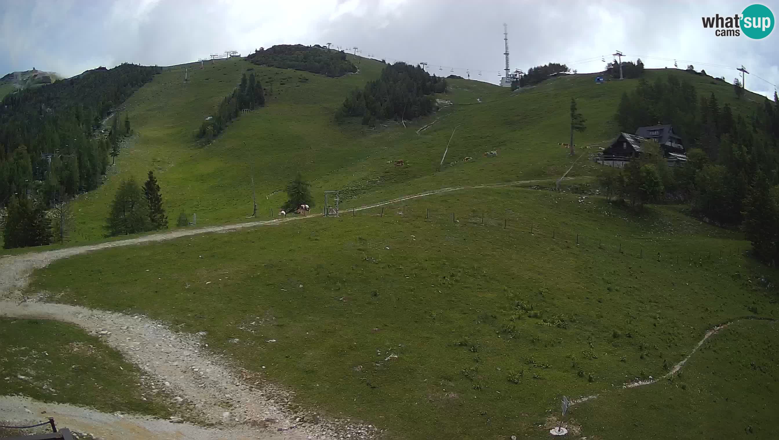 Livecam Krvavec