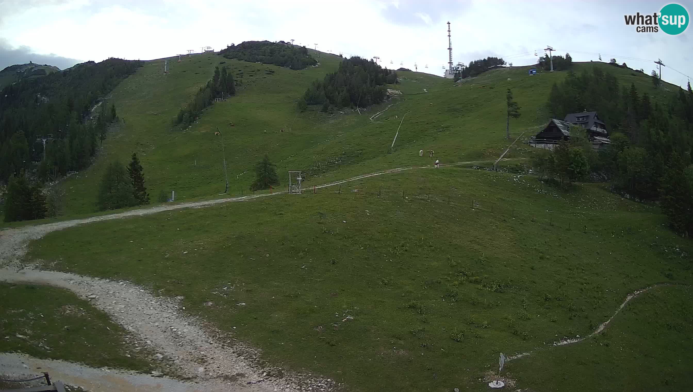 Livecam Krvavec