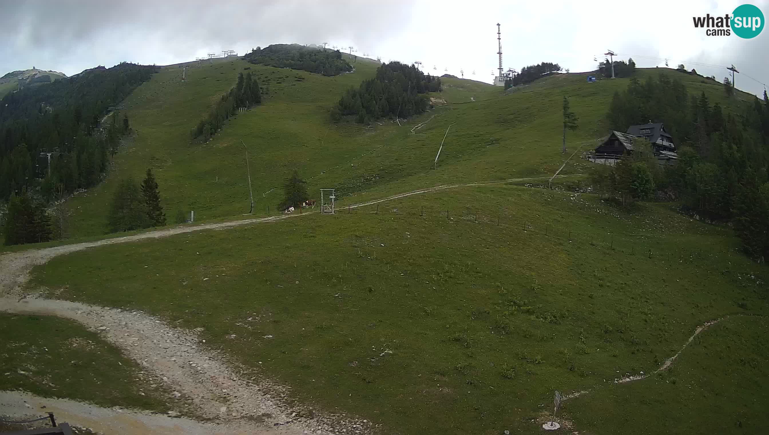 Krvavec Webcam Motorized – Ski resort