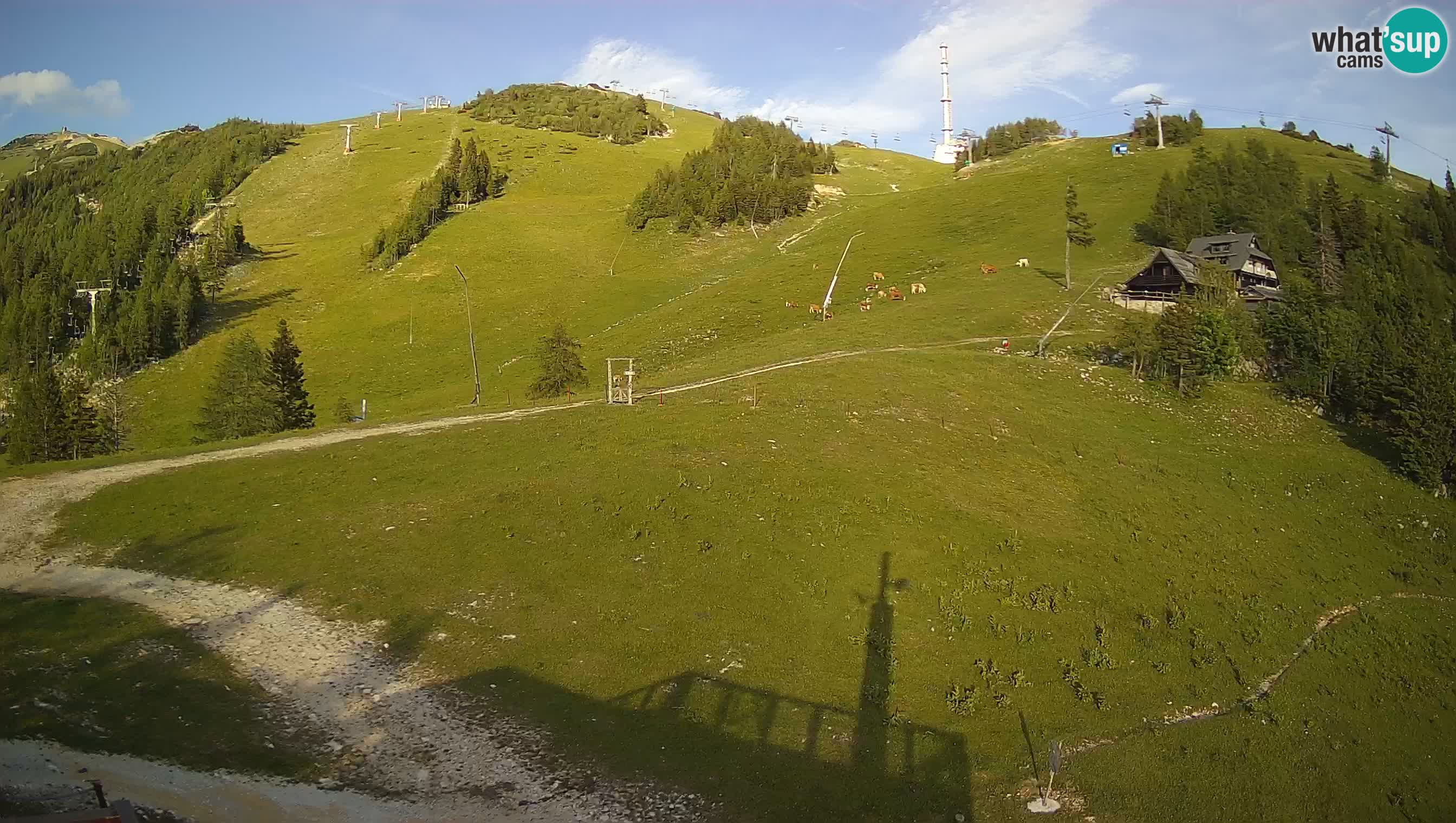 Livecam Krvavec