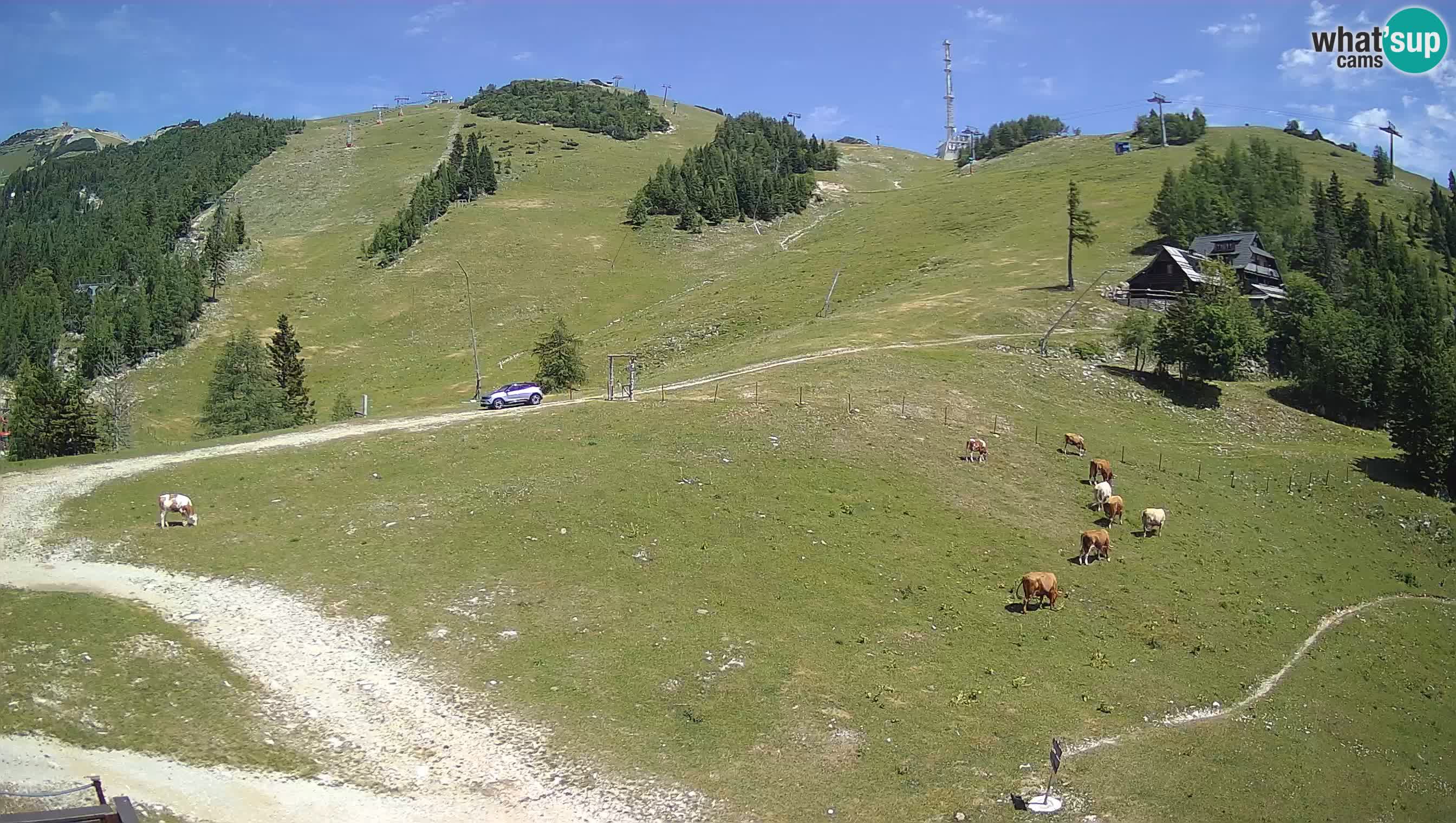 Krvavec camera en vivo – Ski resort