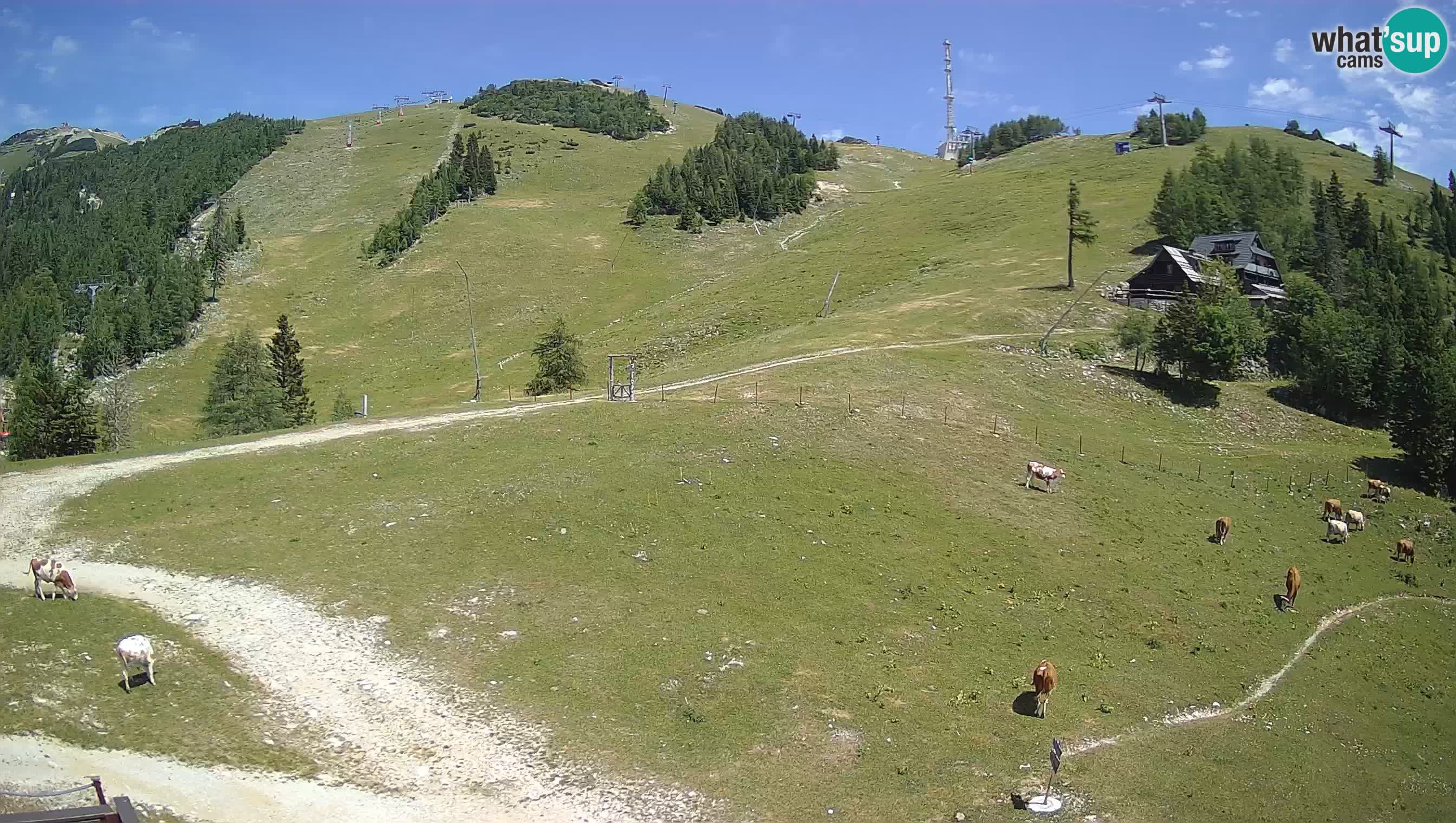 Krvavec Webcam Motorized – Ski resort