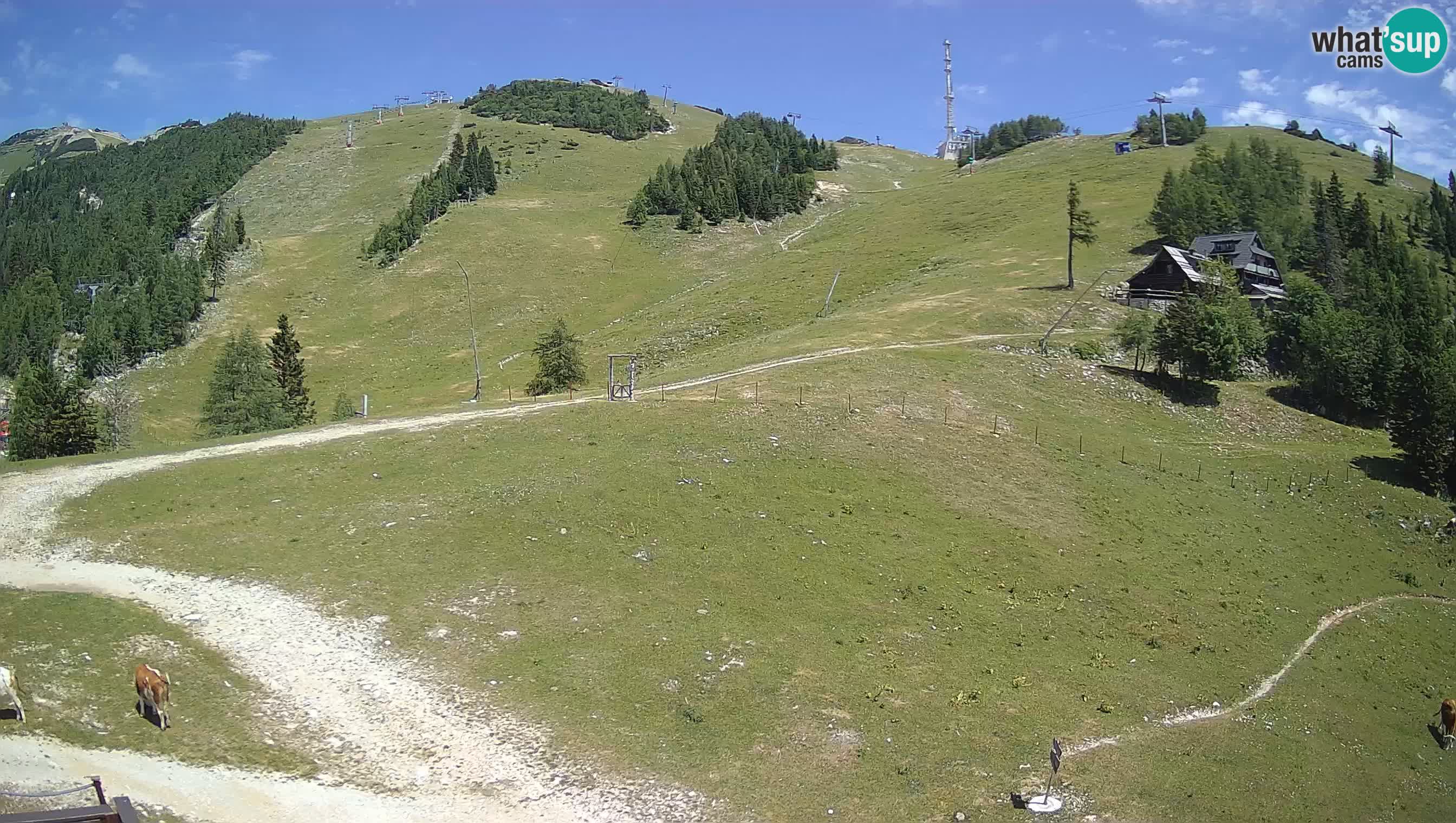 Webcam Krvavec – Hotel Krvavec