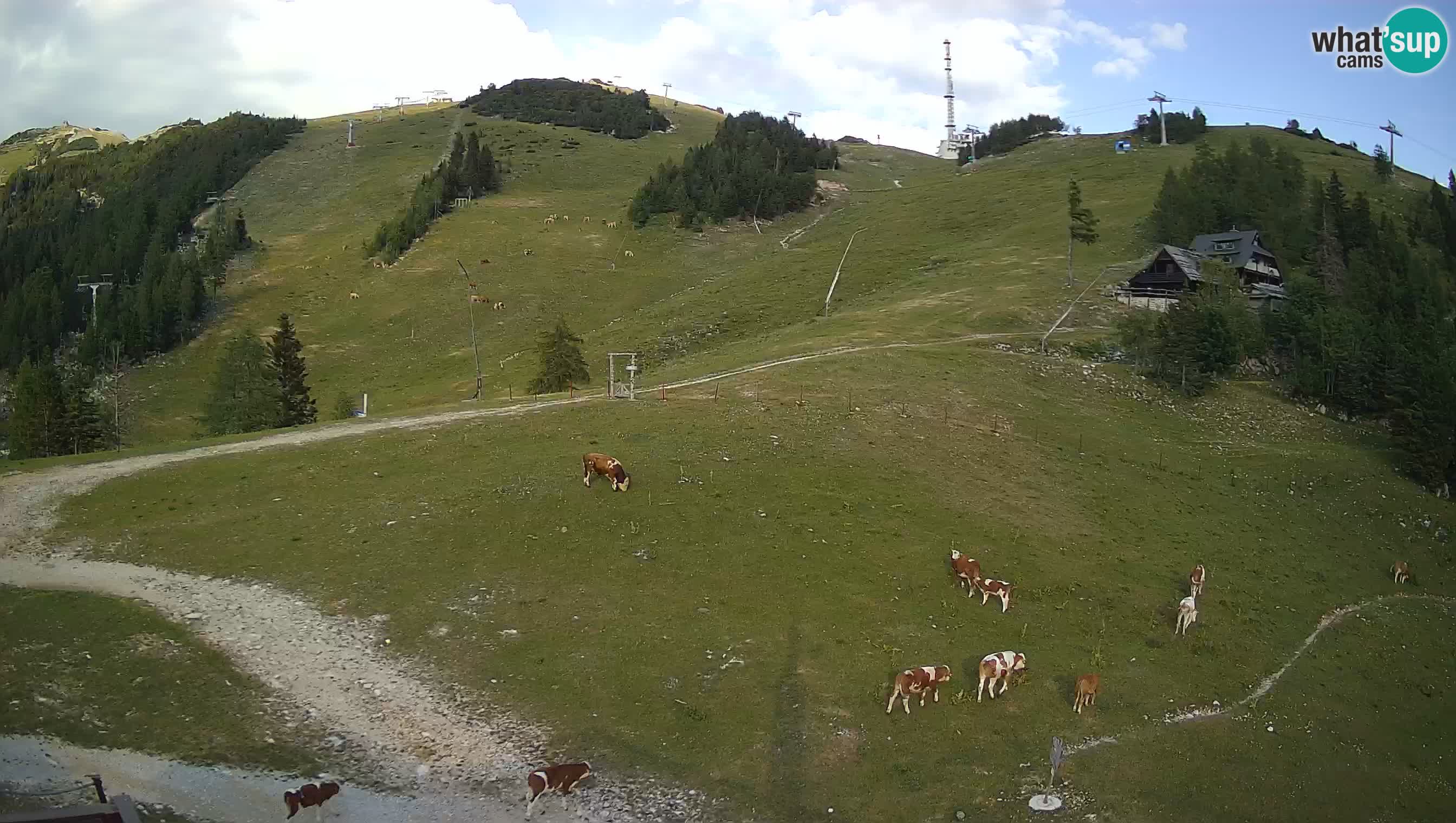KRVAVEC spletna kamera | Hotel Krvavec – Tiha dolina