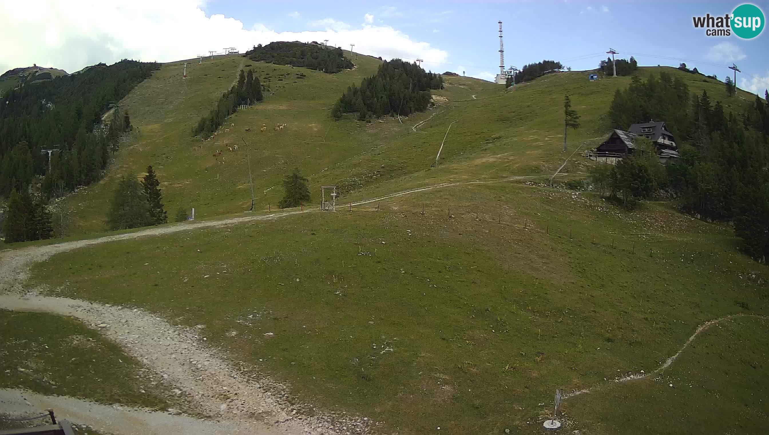 Krvavec Webcam Motorized – Ski resort