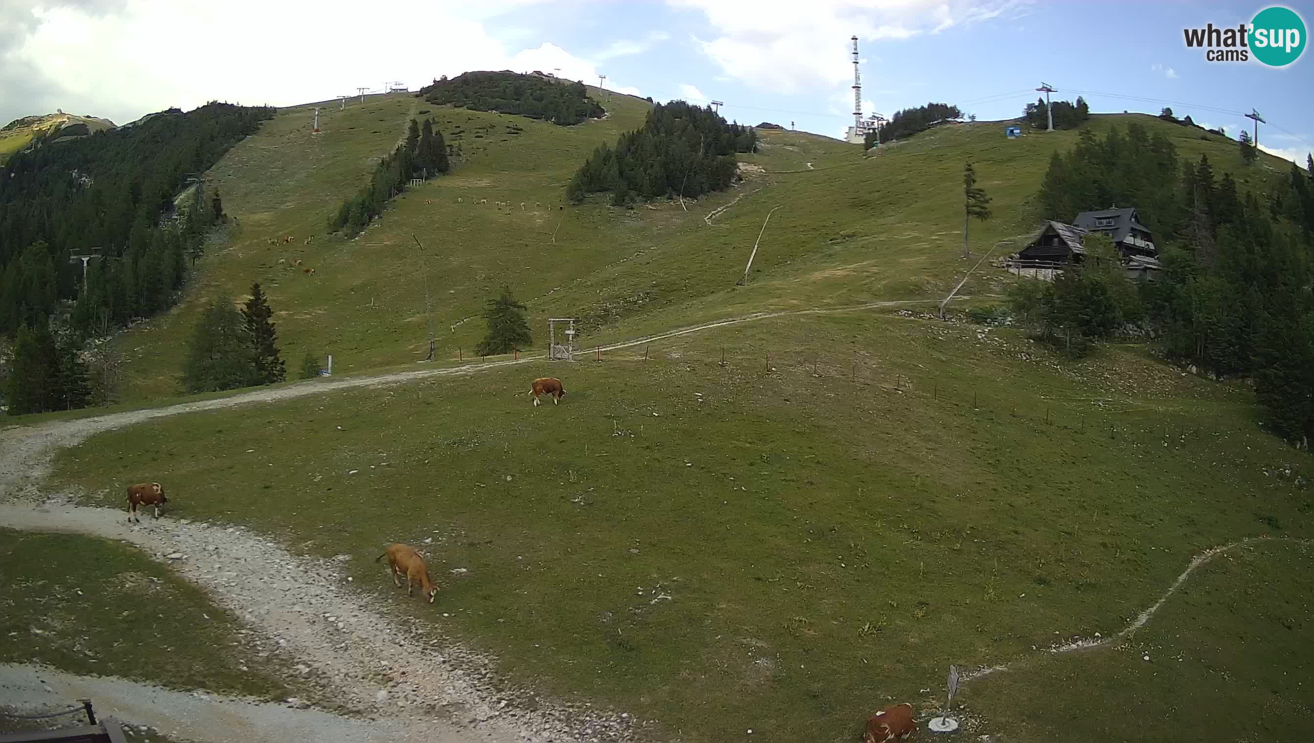 Webcam Krvavec – Hotel Krvavec