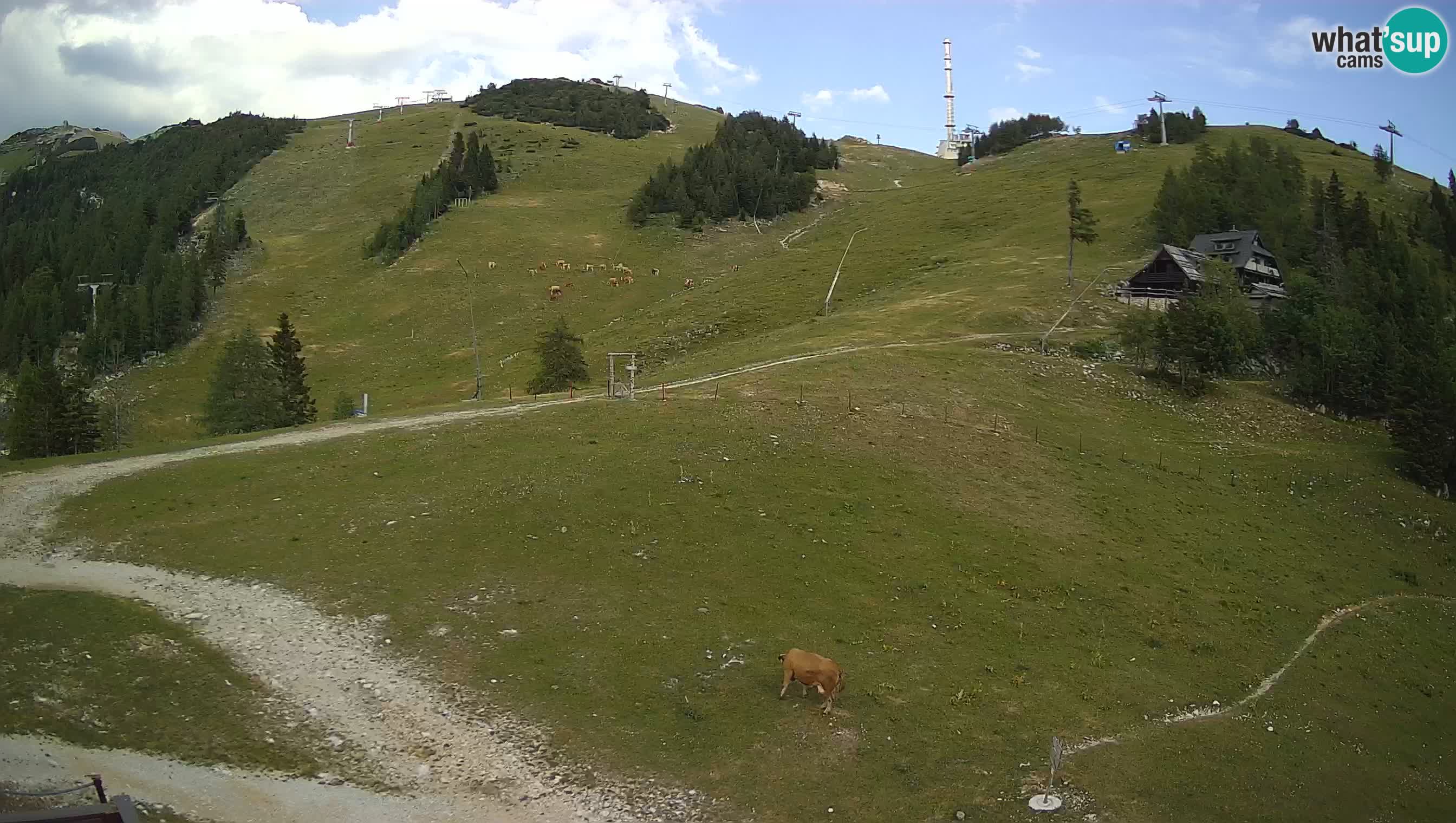 Krvavec webcam motorizzata – Stazione Sciistica