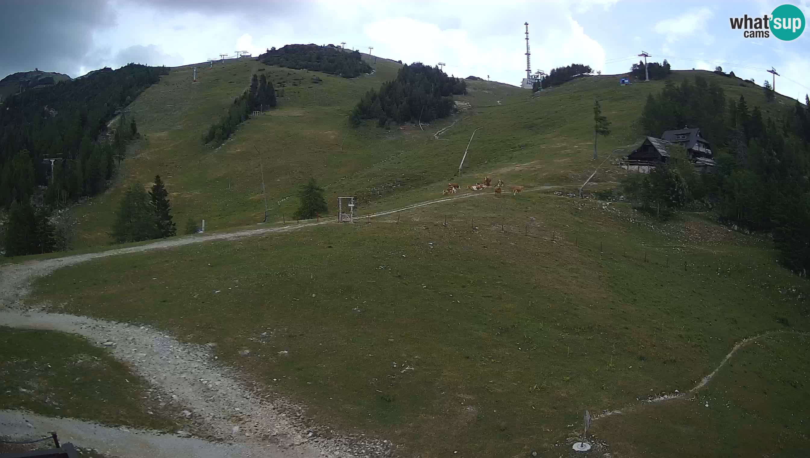 Livecam Krvavec