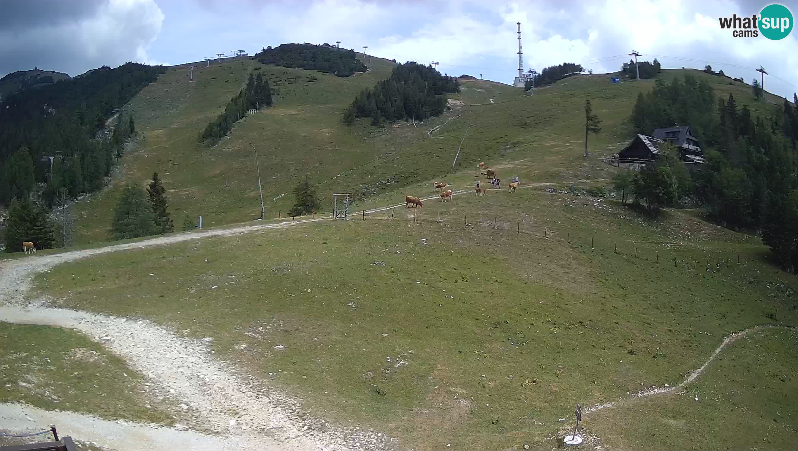 Krvavec webcam motorizzata – Stazione Sciistica