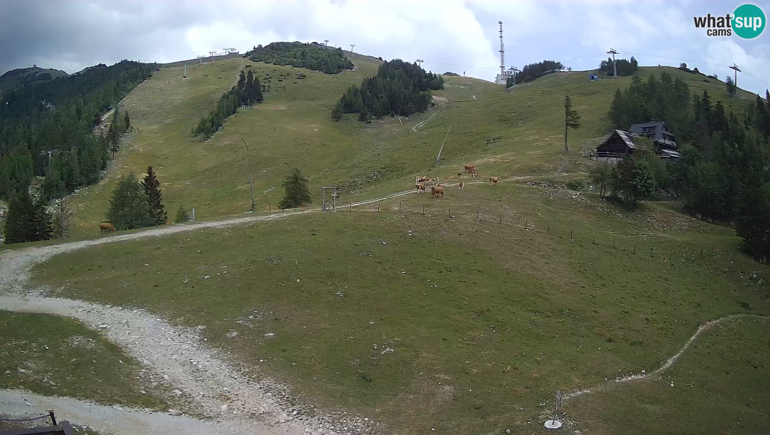 KRVAVEC spletna kamera | Hotel Krvavec – Tiha dolina