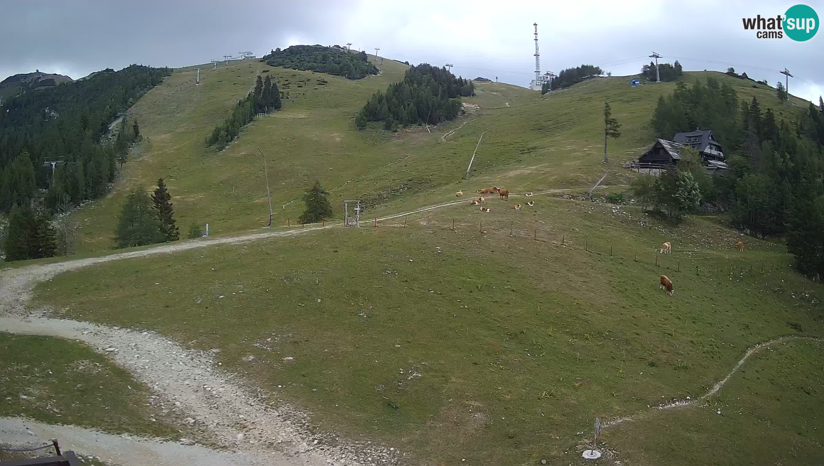 Livecam Krvavec