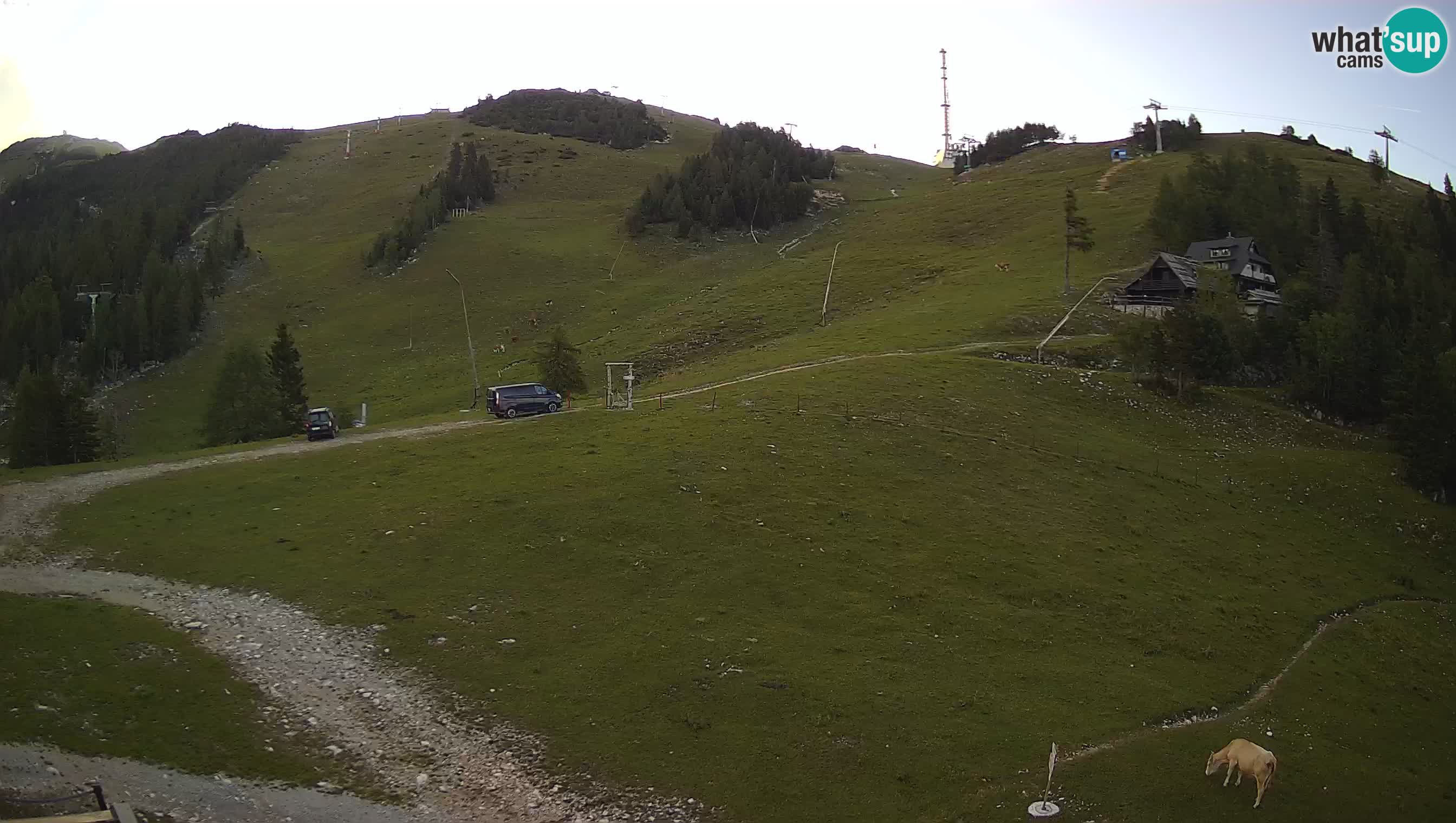 Livecam Krvavec