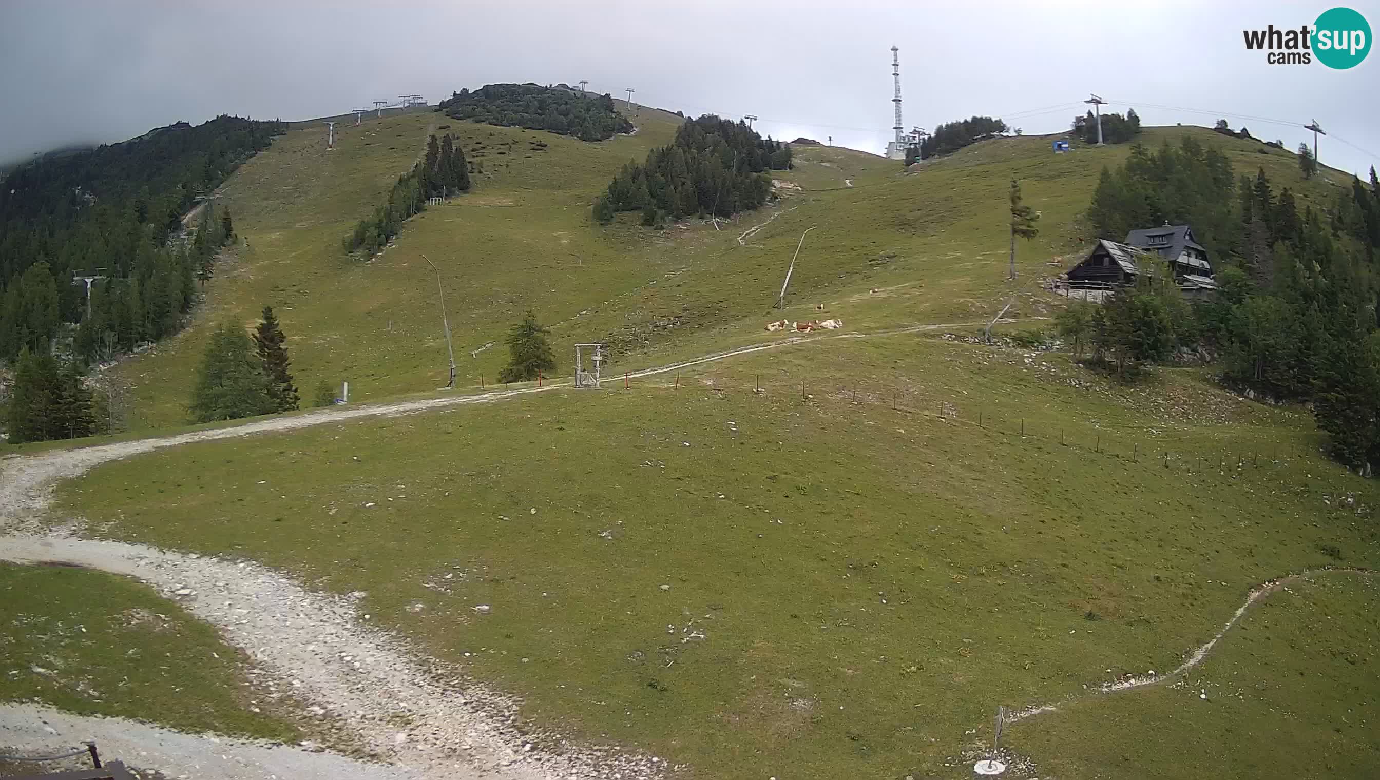 Krvavec web kamera – pokretna