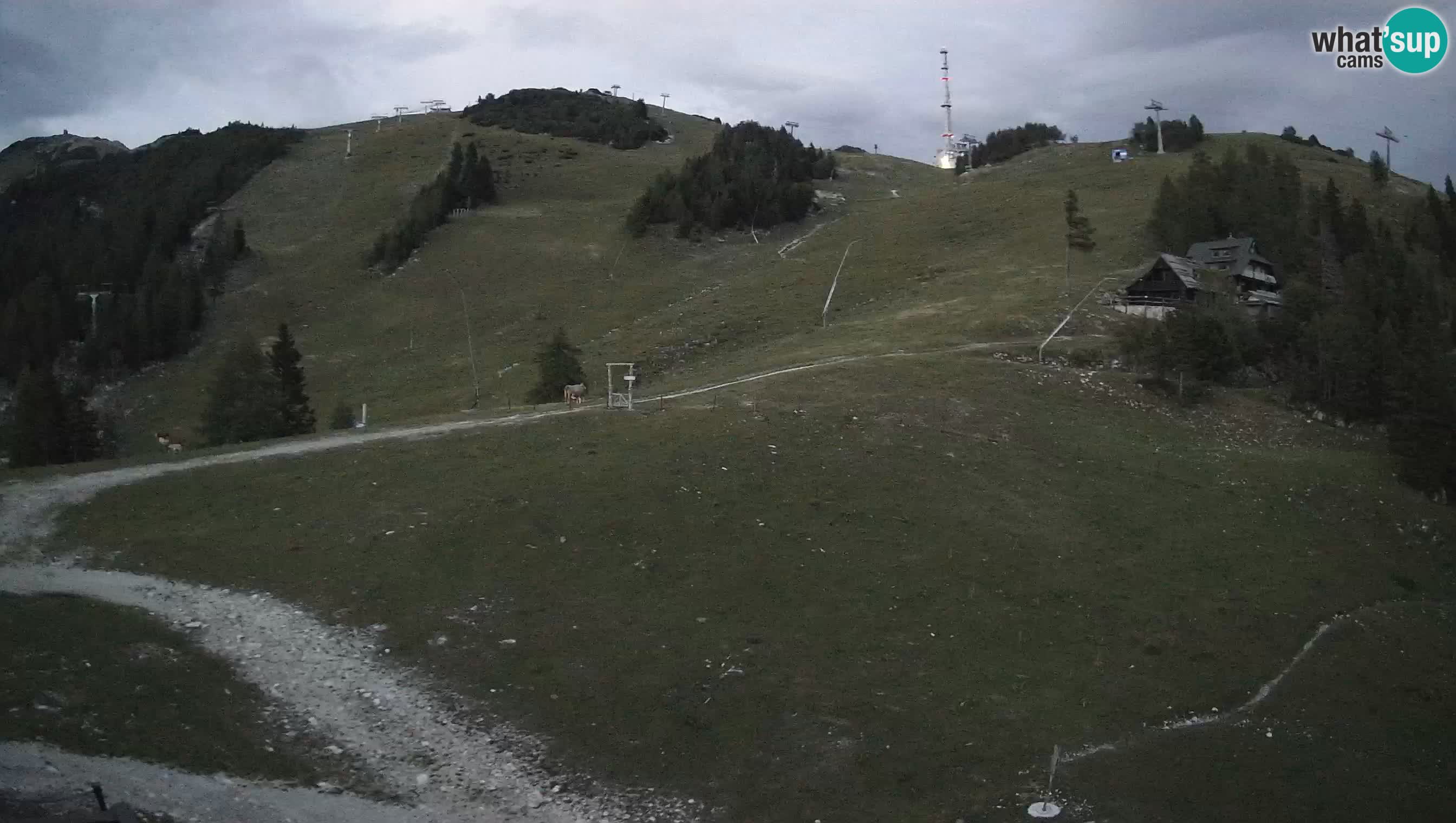 Spletna kamera Krvavec | Tiha Dolina