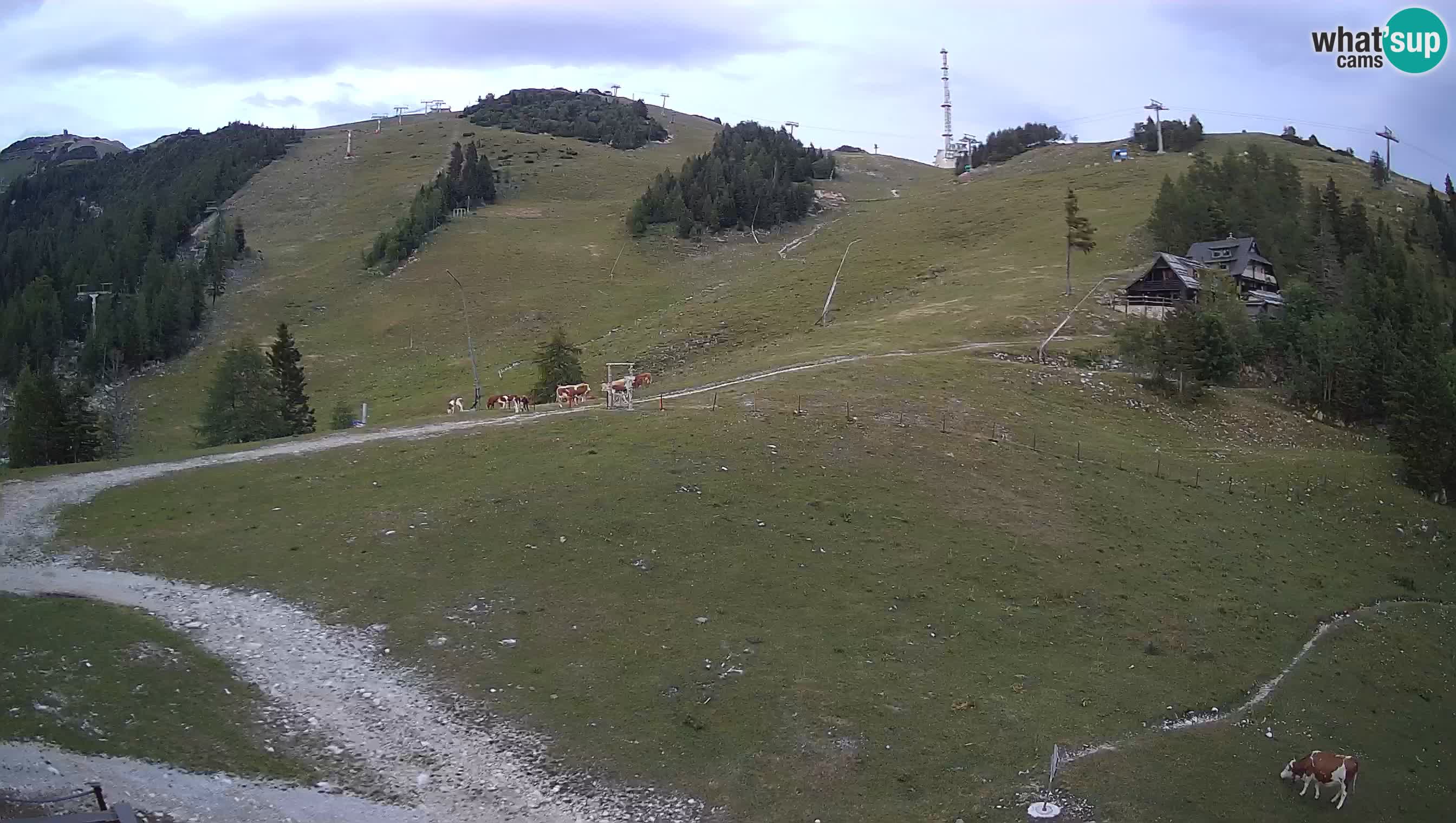 KRVAVEC spletna kamera | Hotel Krvavec – Tiha dolina
