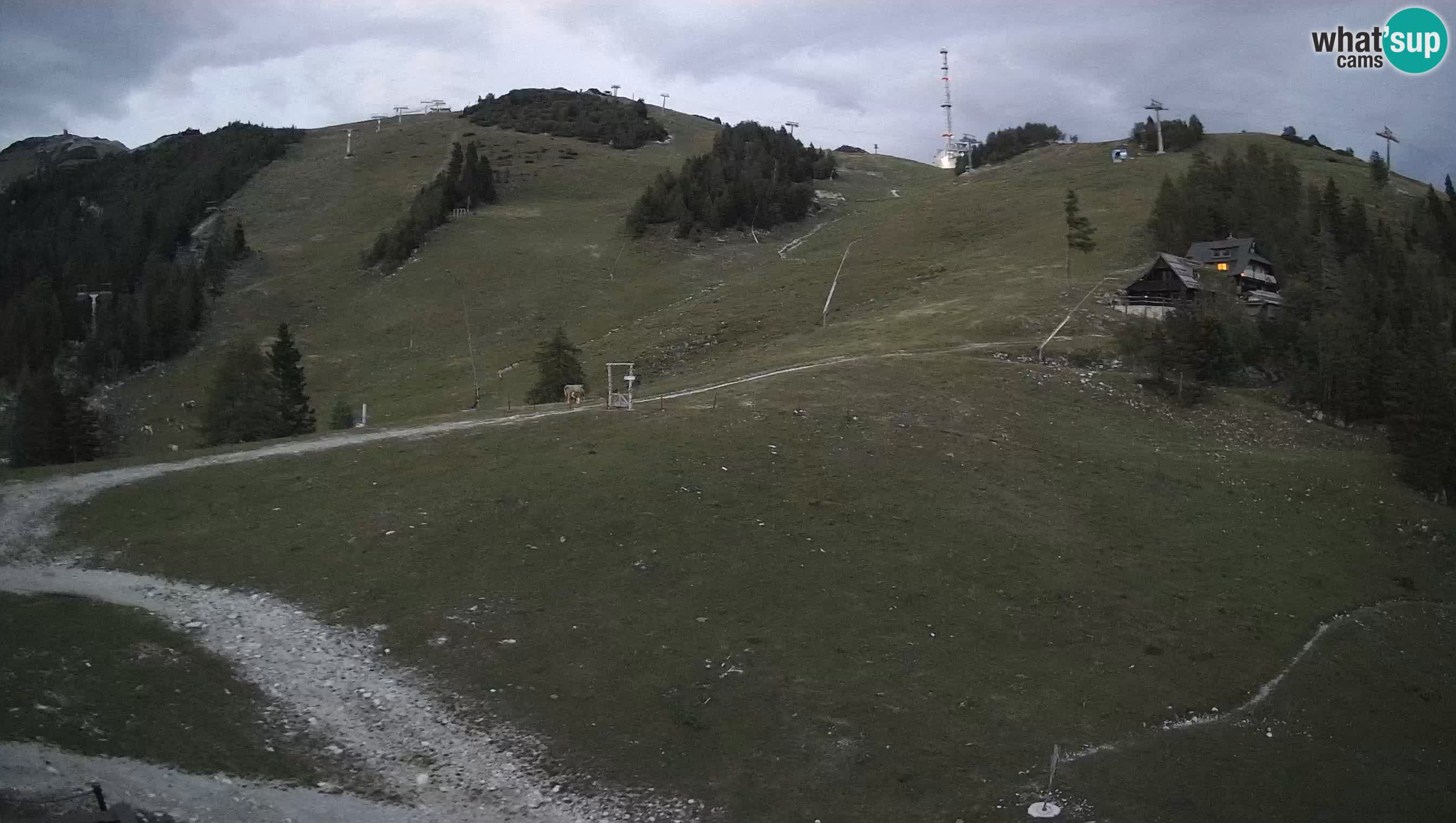 Krvavec webcam motorisiert – Skigebiet