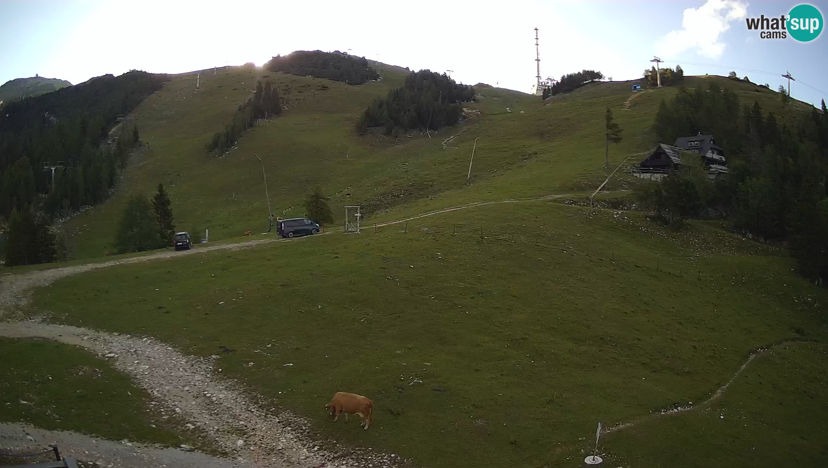 Livecam Krvavec