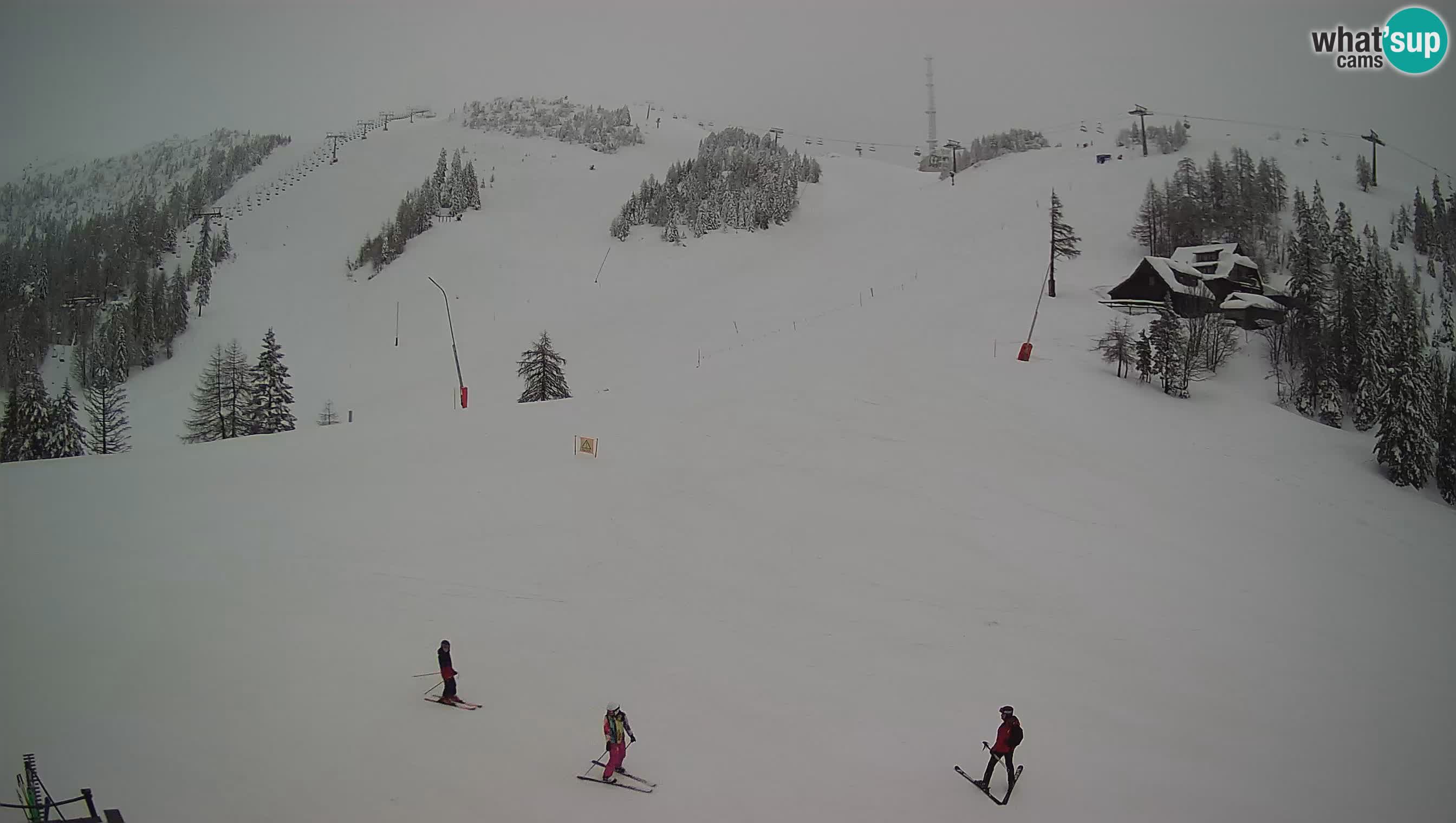 Spletna kamera Krvavec | Tiha Dolina