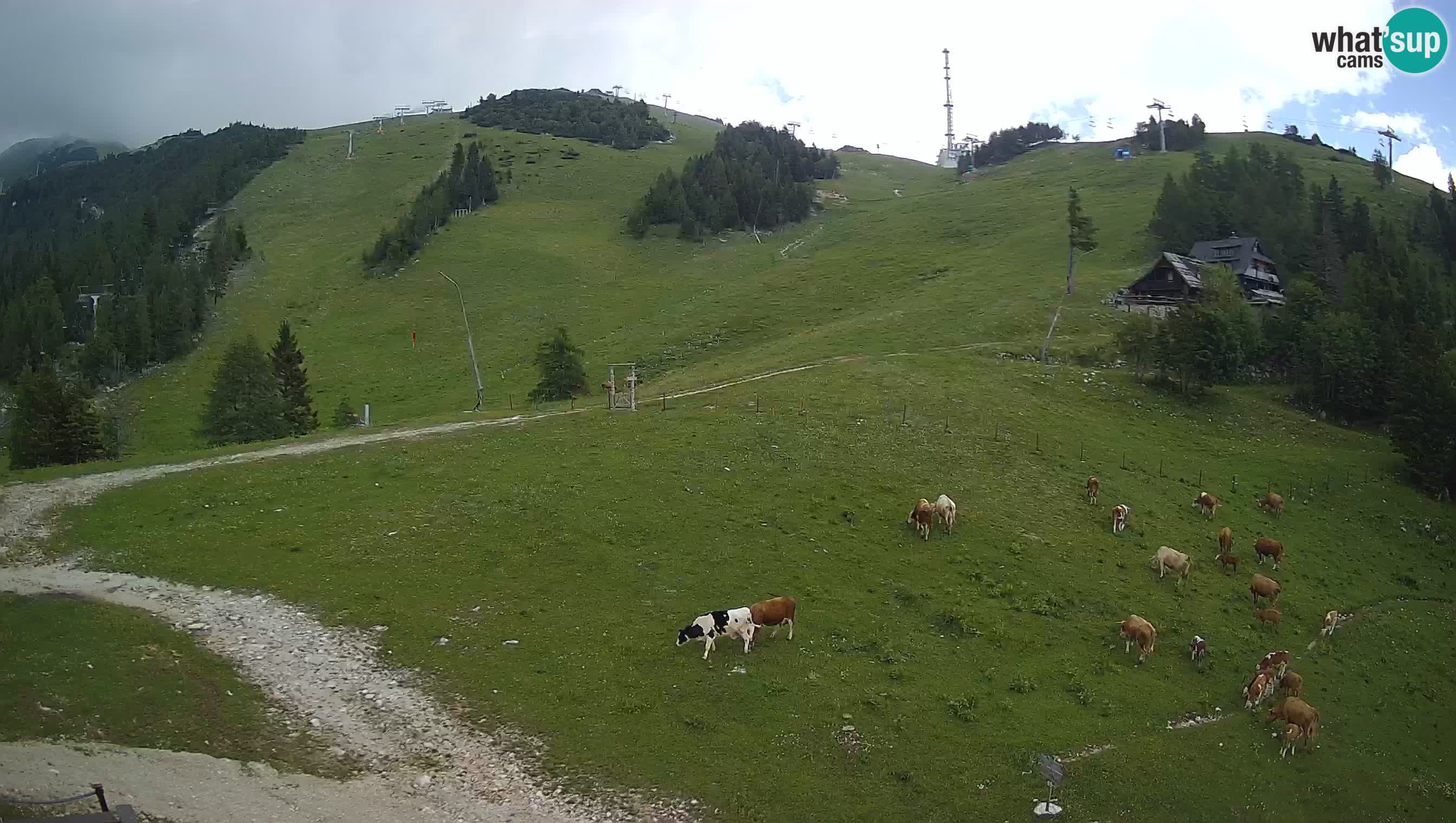 Krvavec camera en vivo – Ski resort